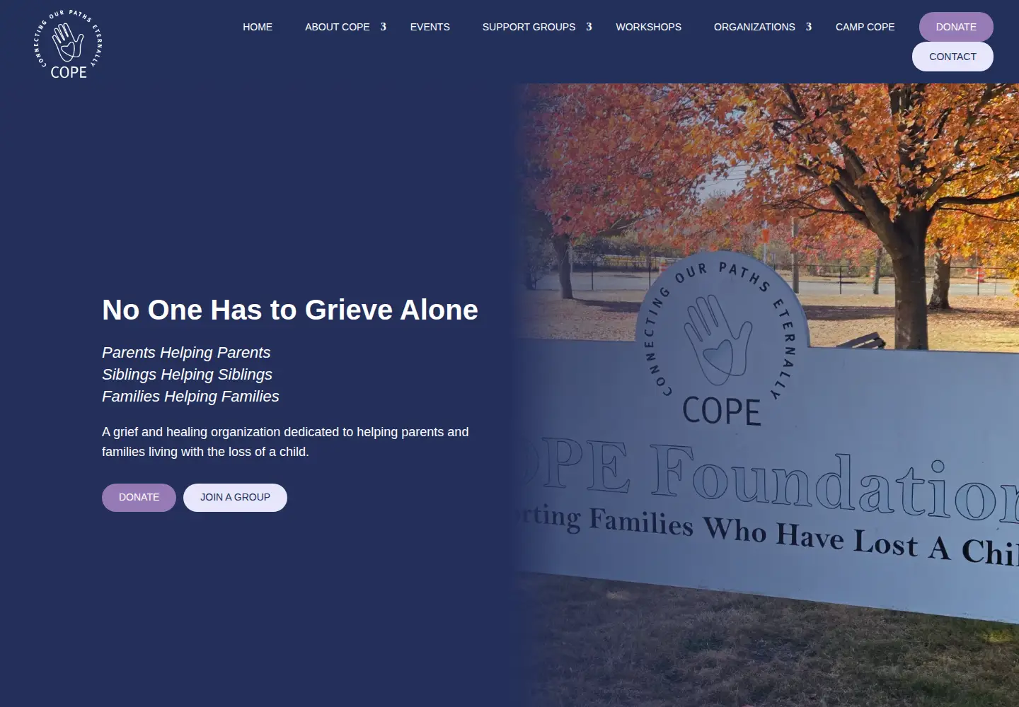 Screenshot of copefoundation.org