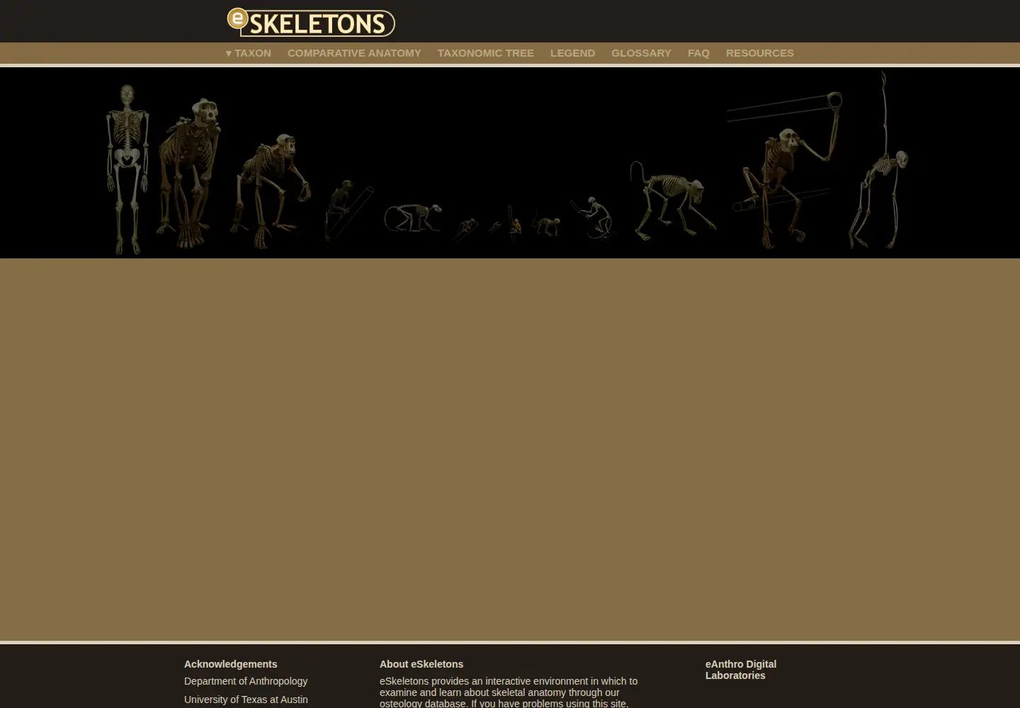 Screenshot of eskeletons.org