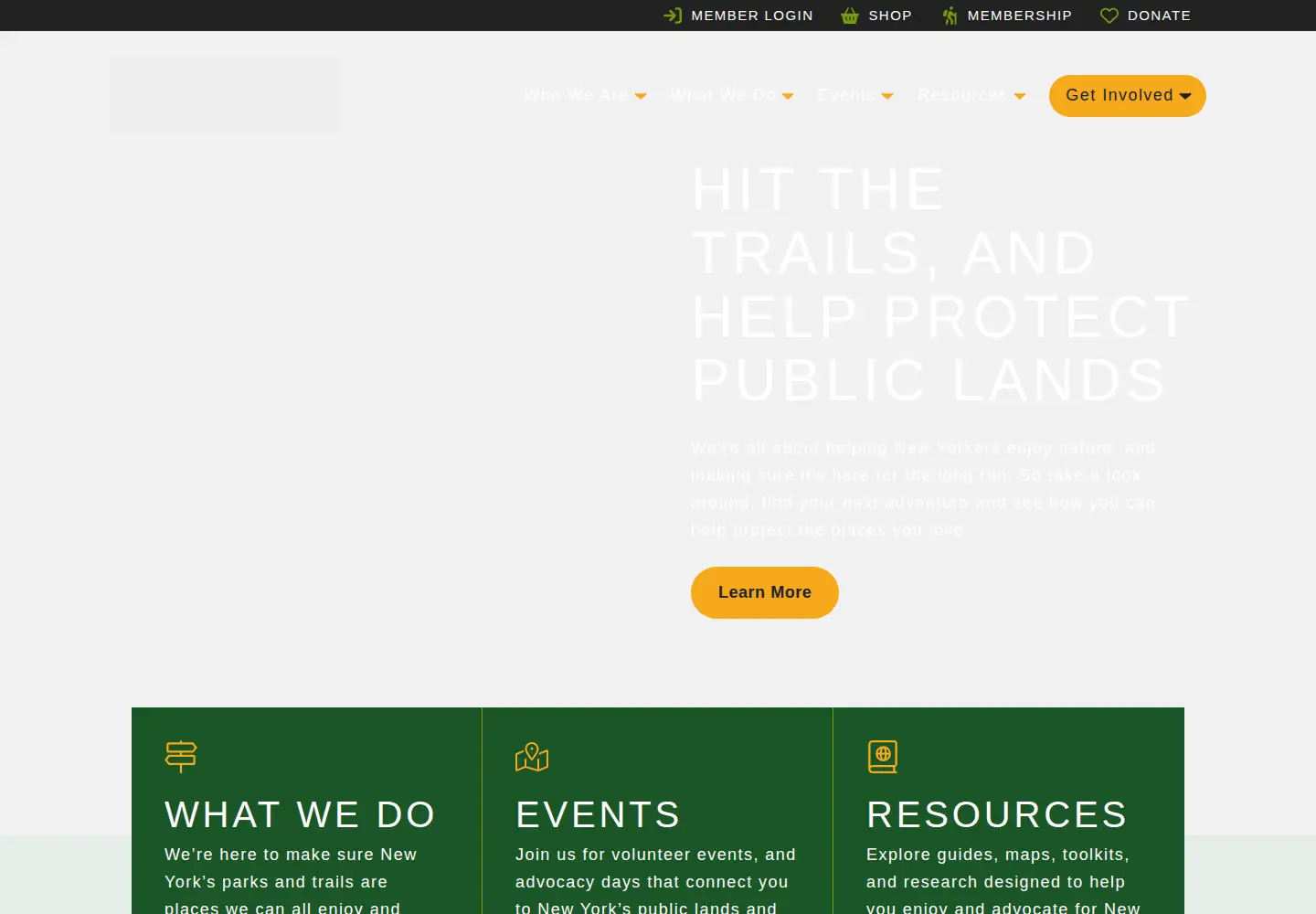 Screenshot of ptny.org