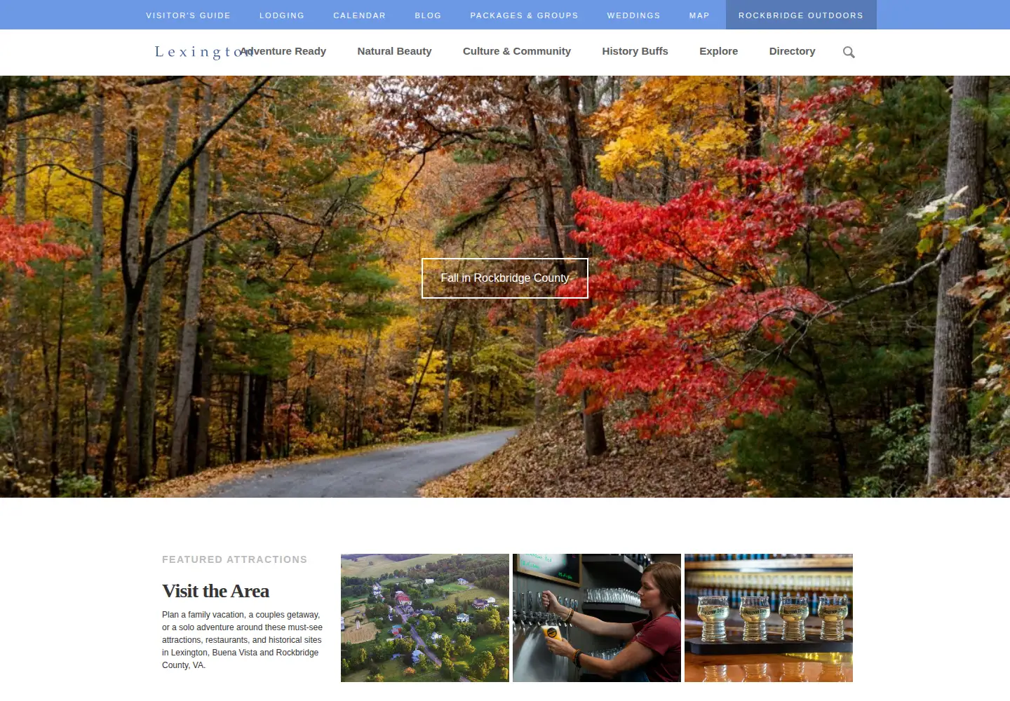 Screenshot of lexingtonvirginia.com
