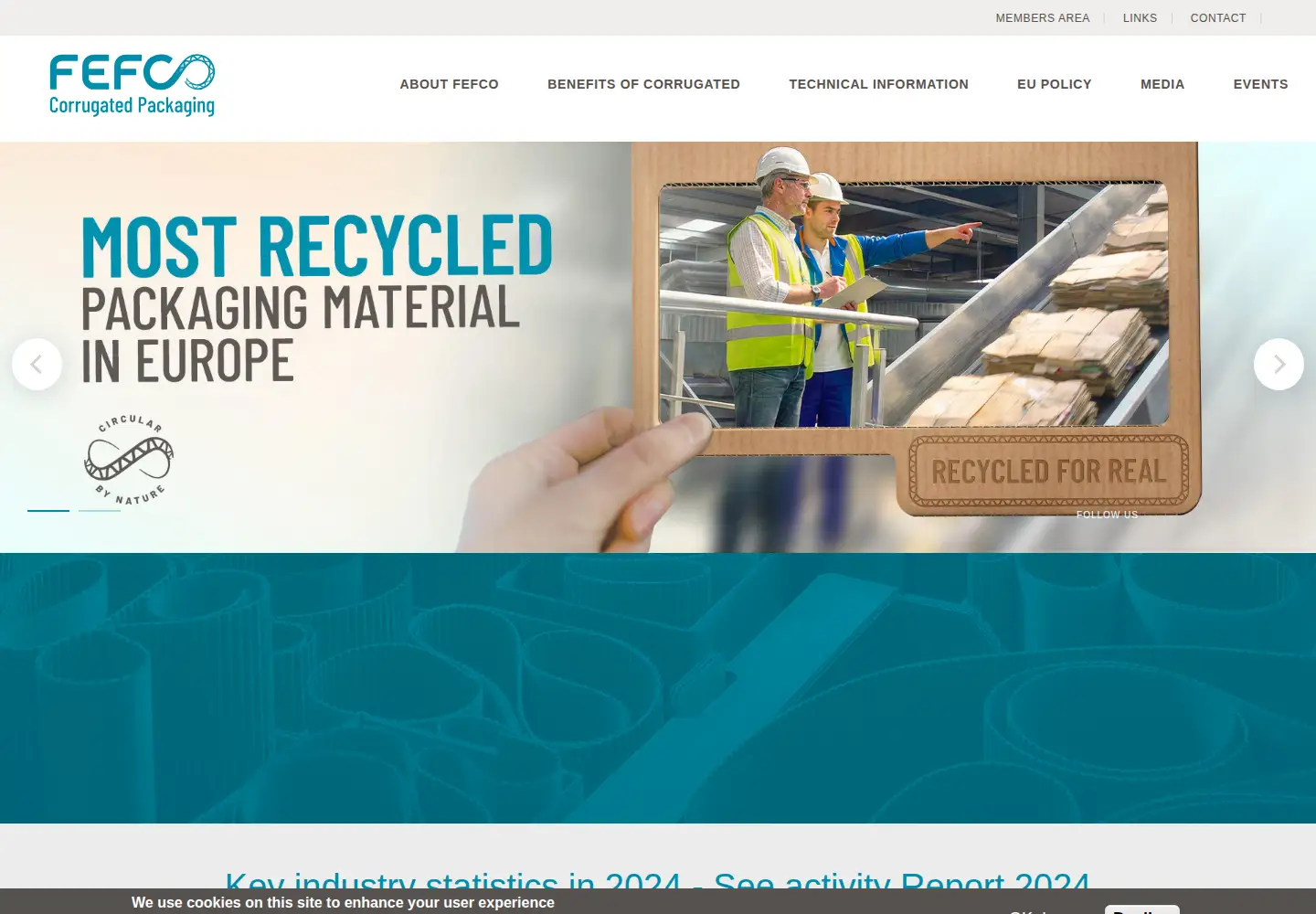 Screenshot of fefco.org