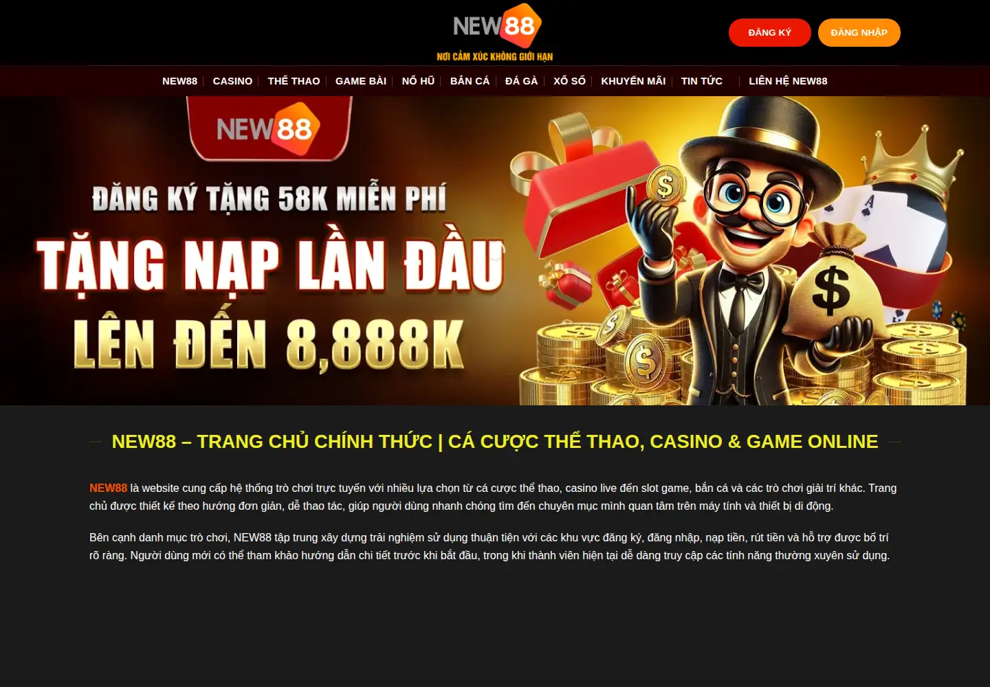 Screenshot of new882.info