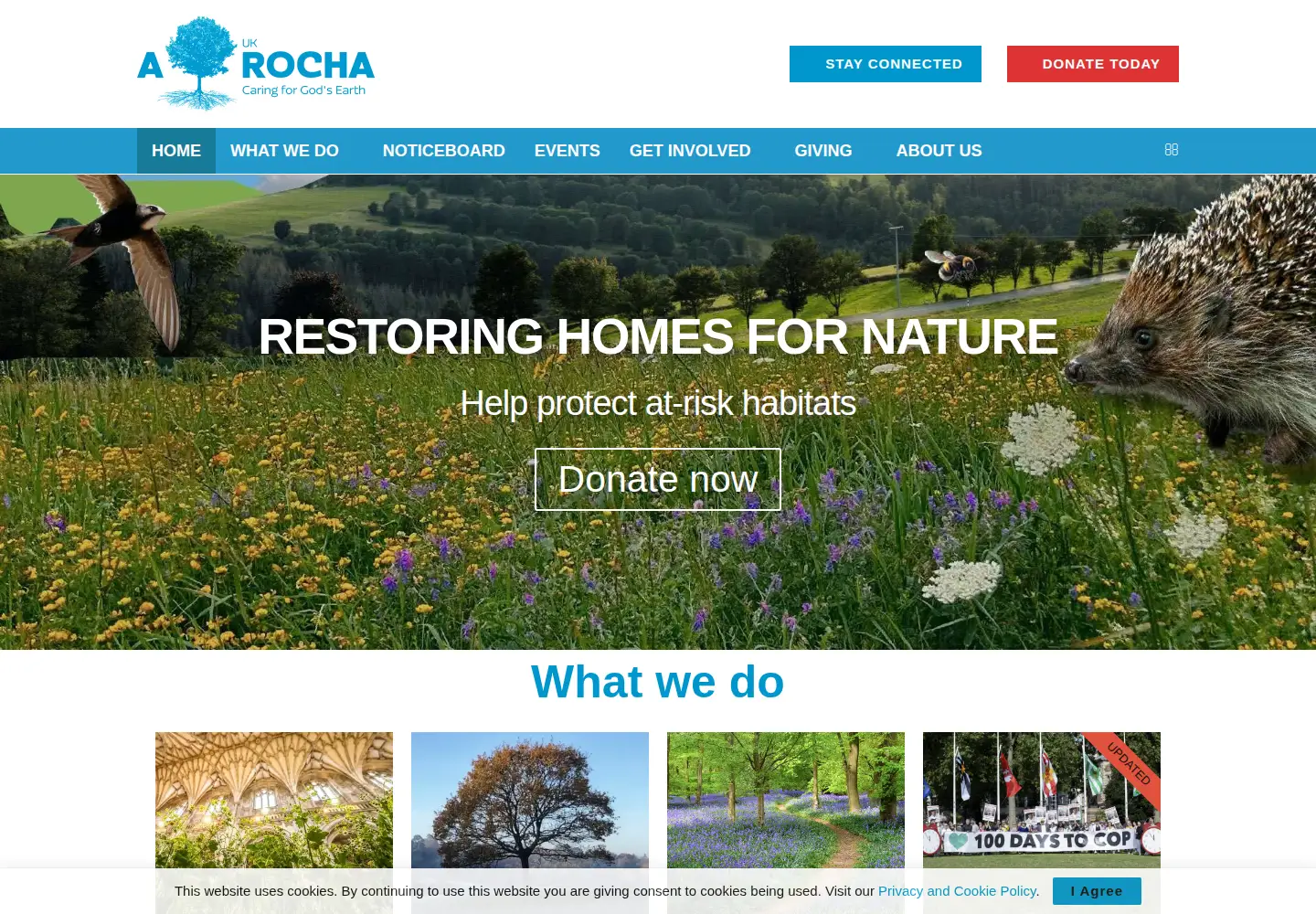 Screenshot of arocha.org.uk
