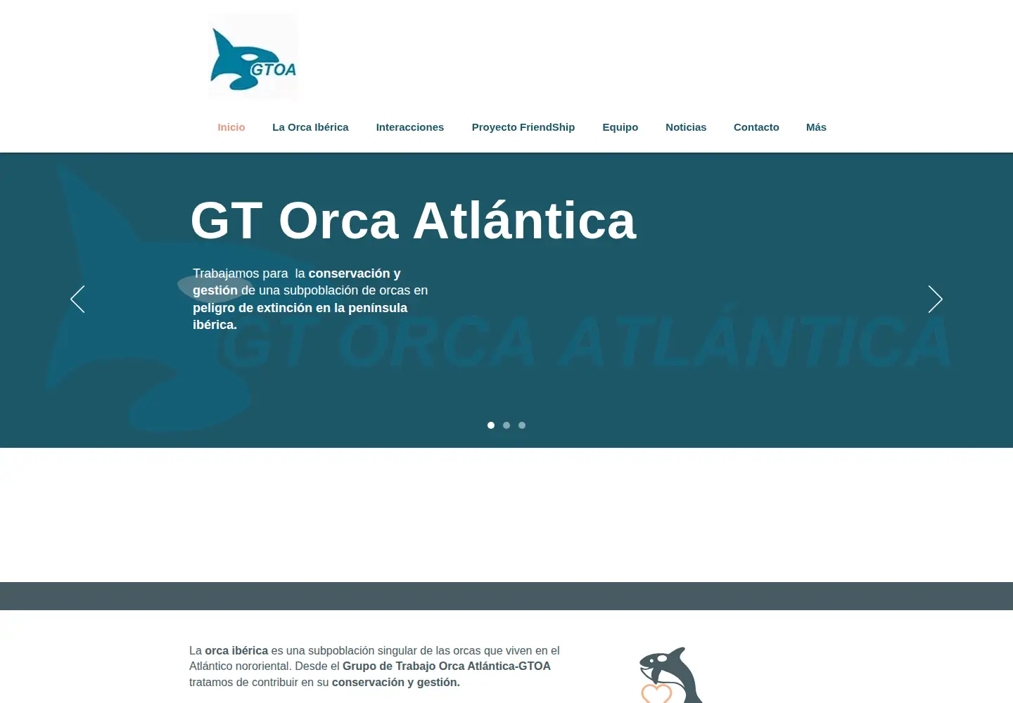 Screenshot of orcaiberica.org