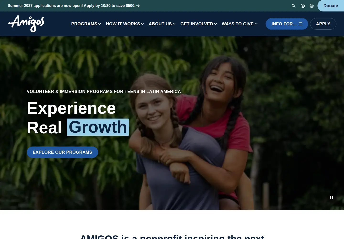 Screenshot of amigosinternational.org
