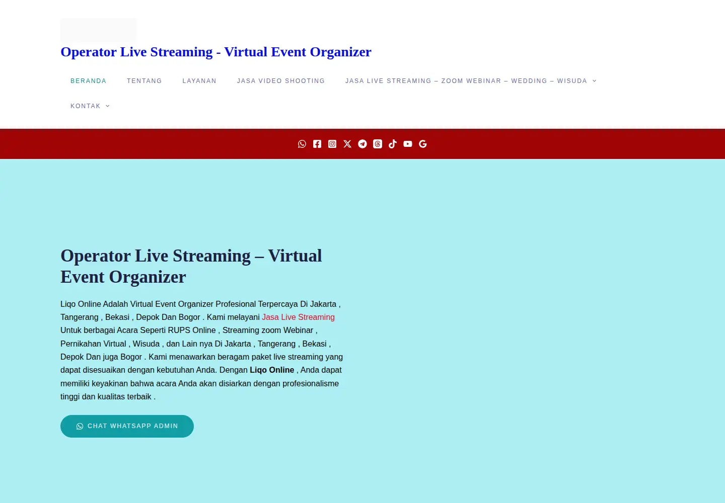 Screenshot of liqo-online.com