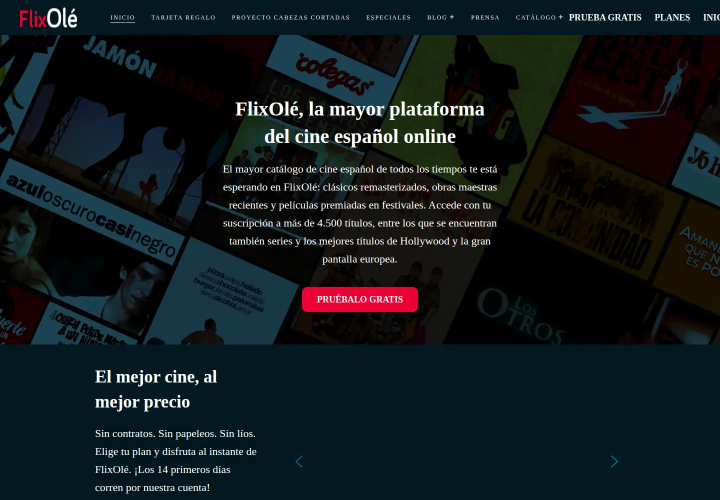 Screenshot of flixole.com