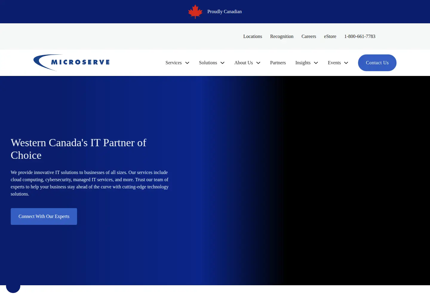 Screenshot of microserve.ca