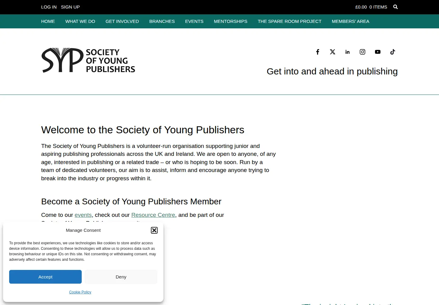 Screenshot of thesyp.org.uk