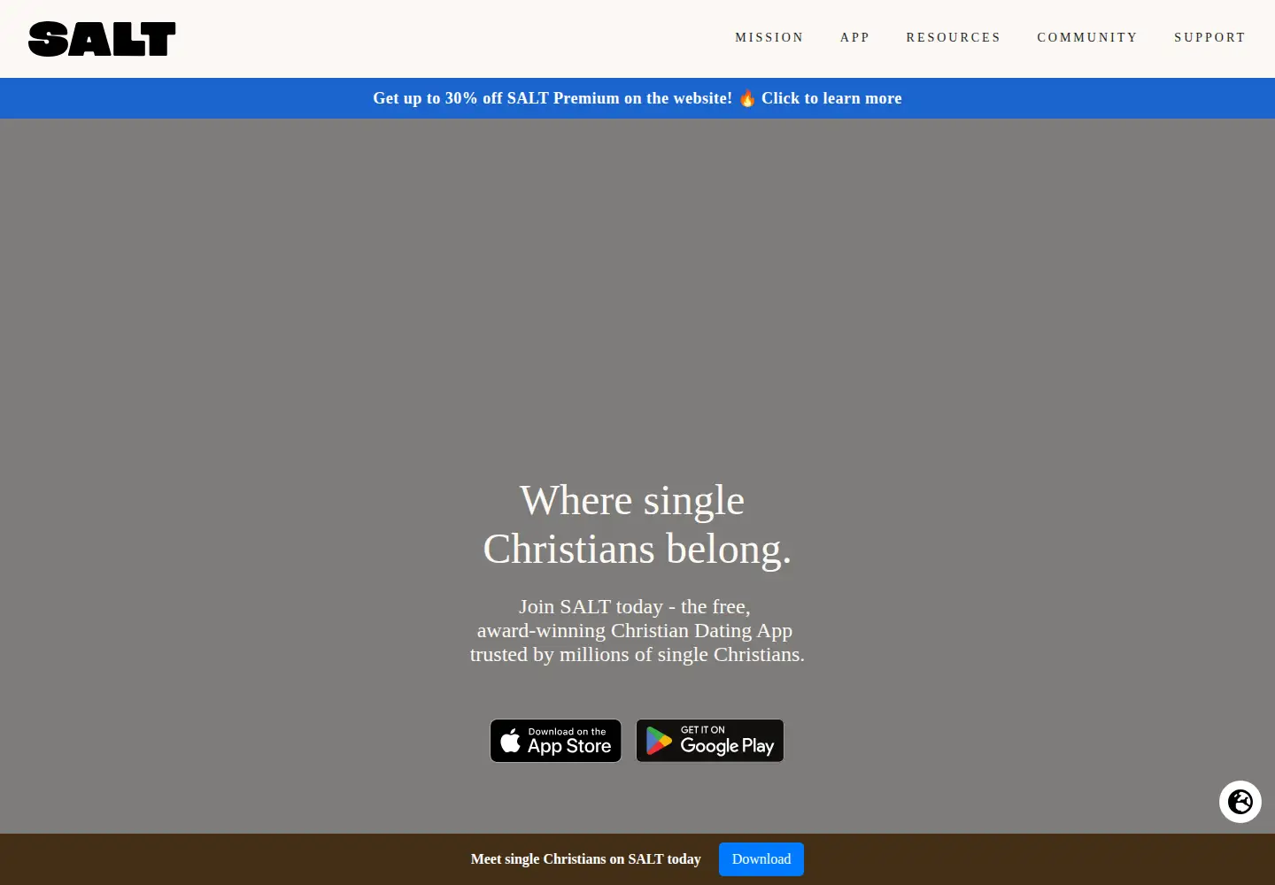 Screenshot of be-salt.com