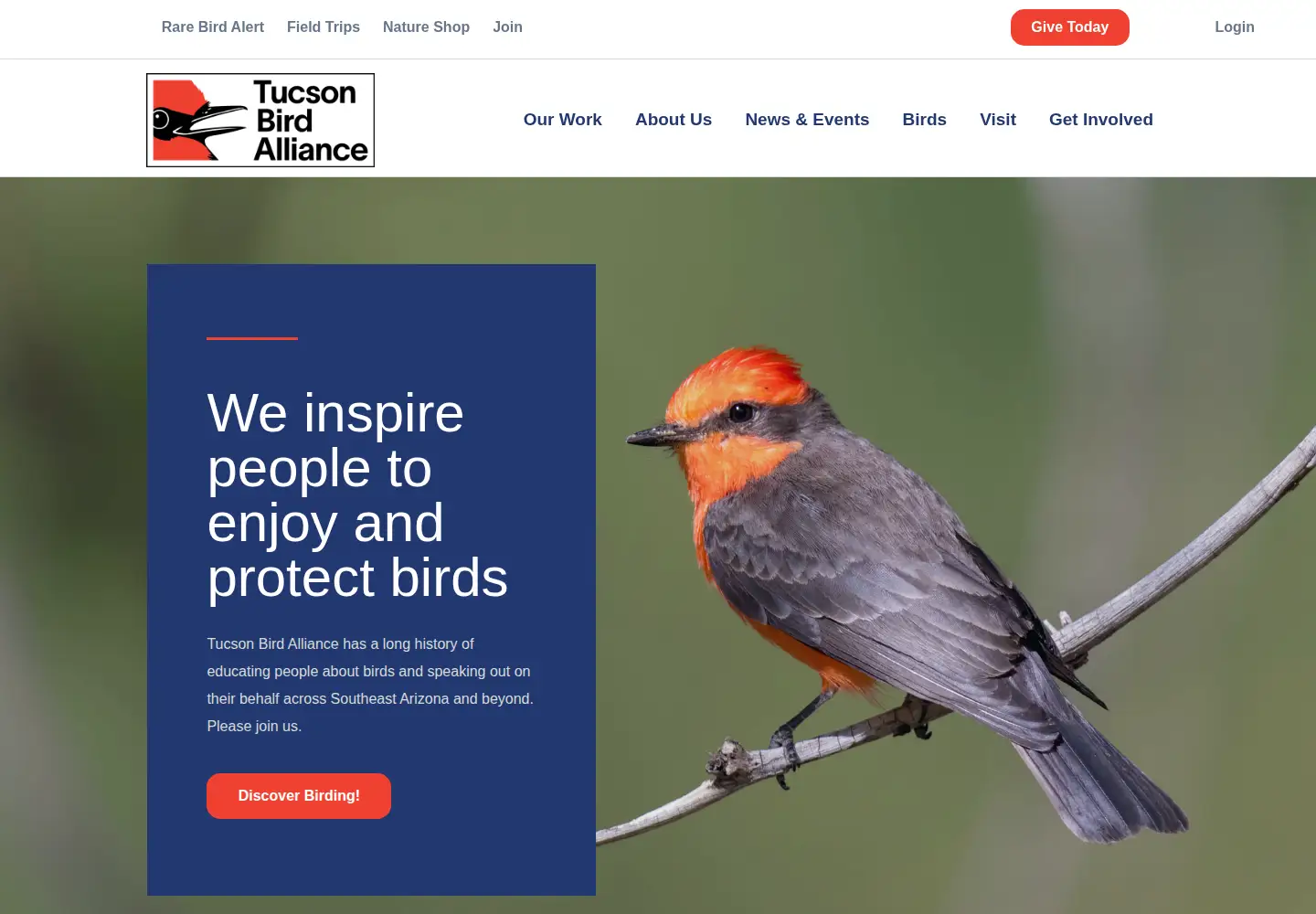 Screenshot of tucsonbirds.org