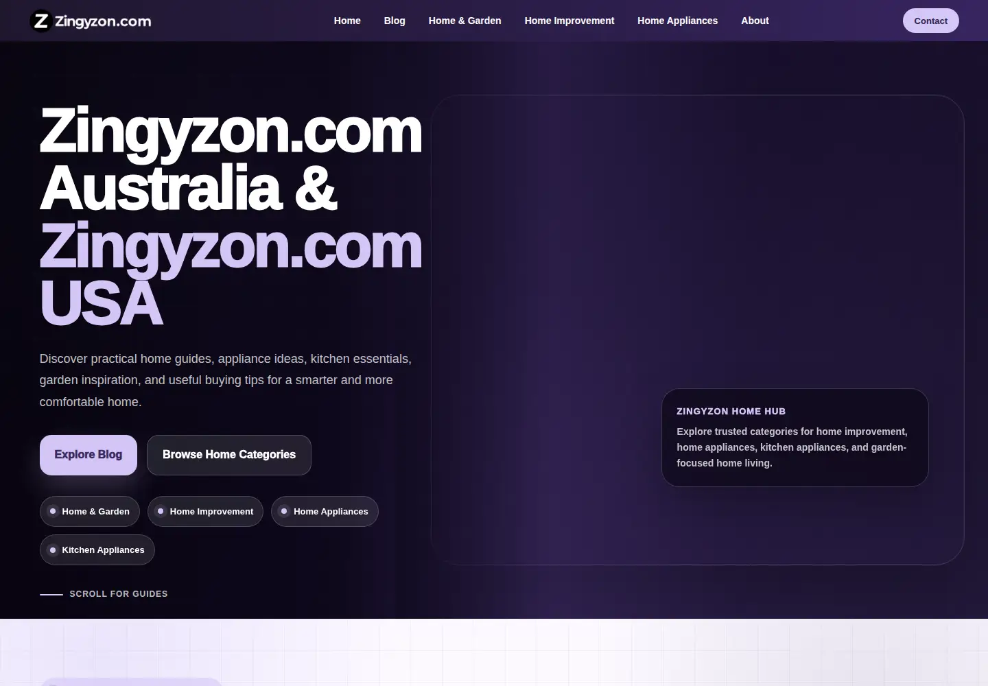 Screenshot of zingyzon.com