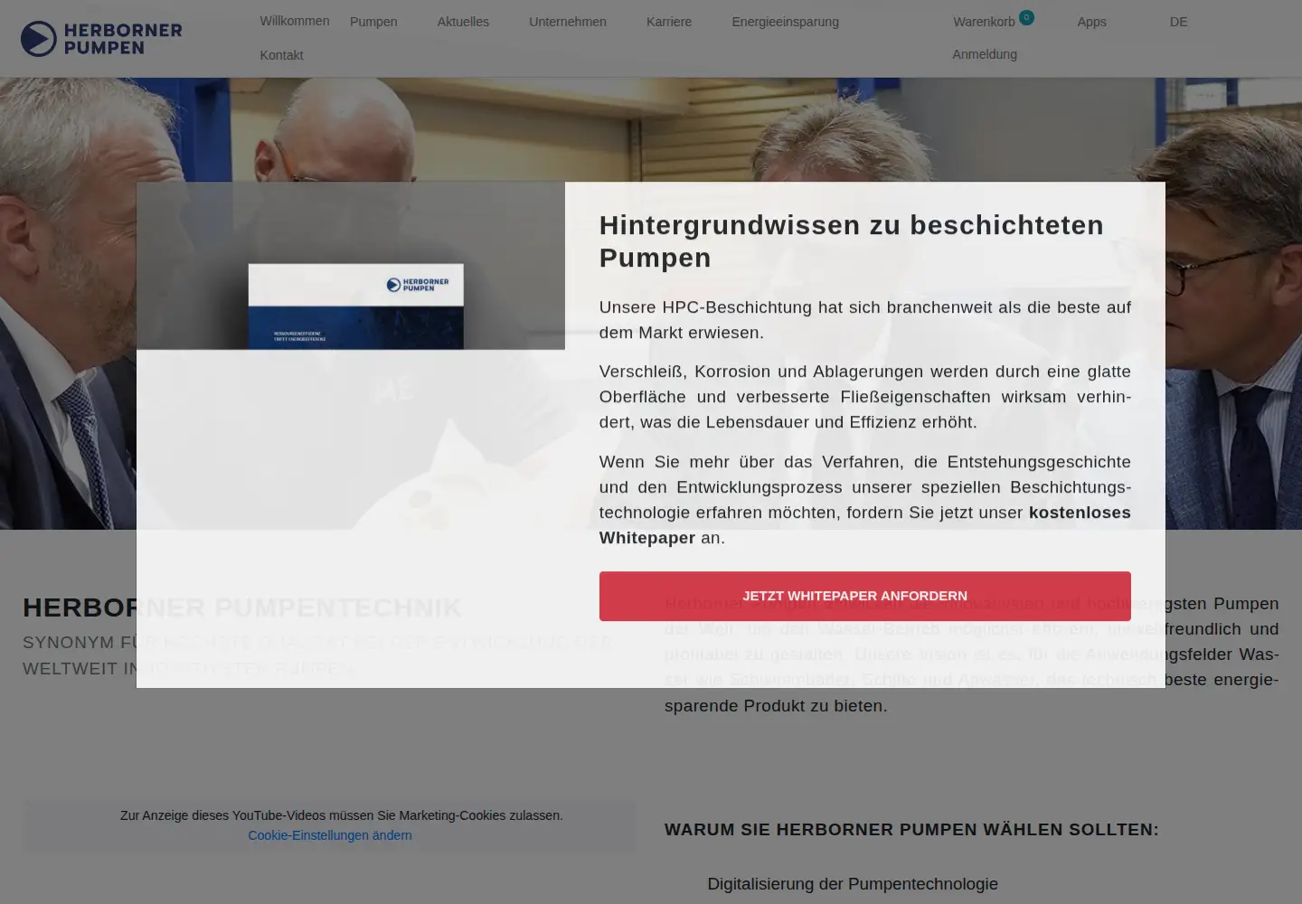Screenshot of herborner-pumpen.com