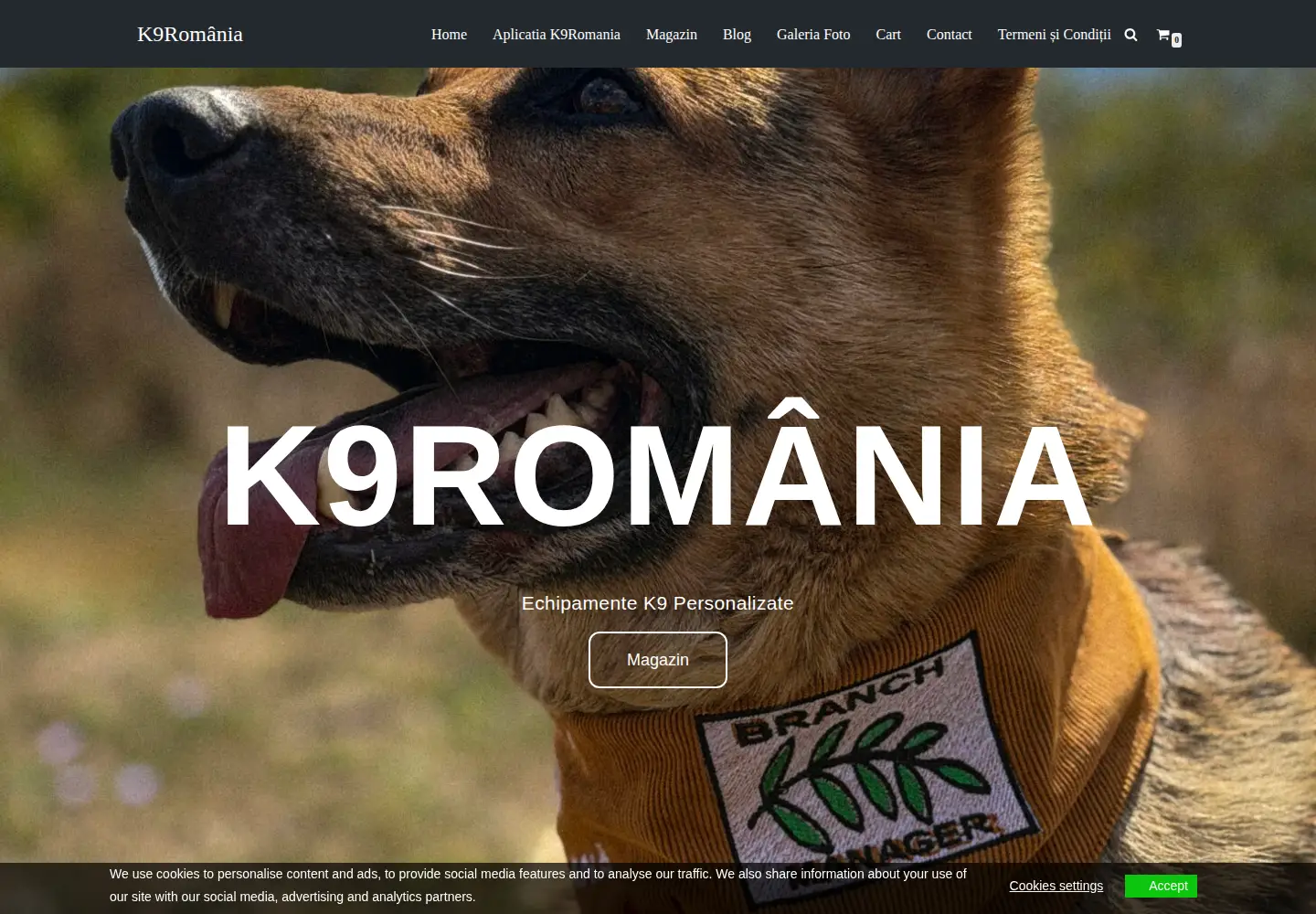 Screenshot of k9romania.ro