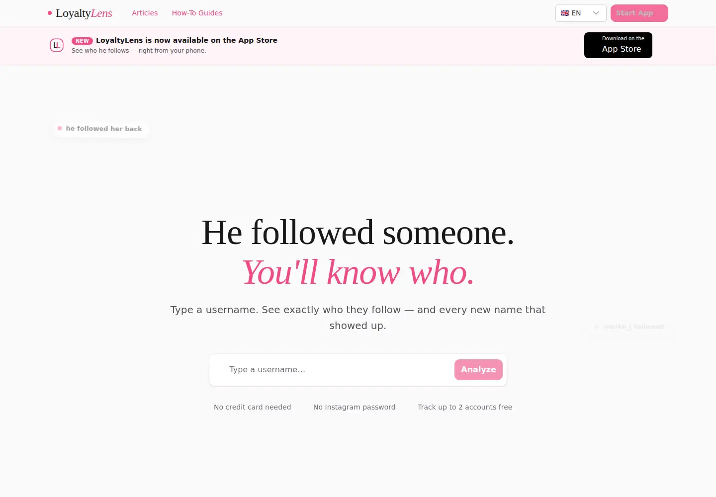 Screenshot of loyaltylens.cloud