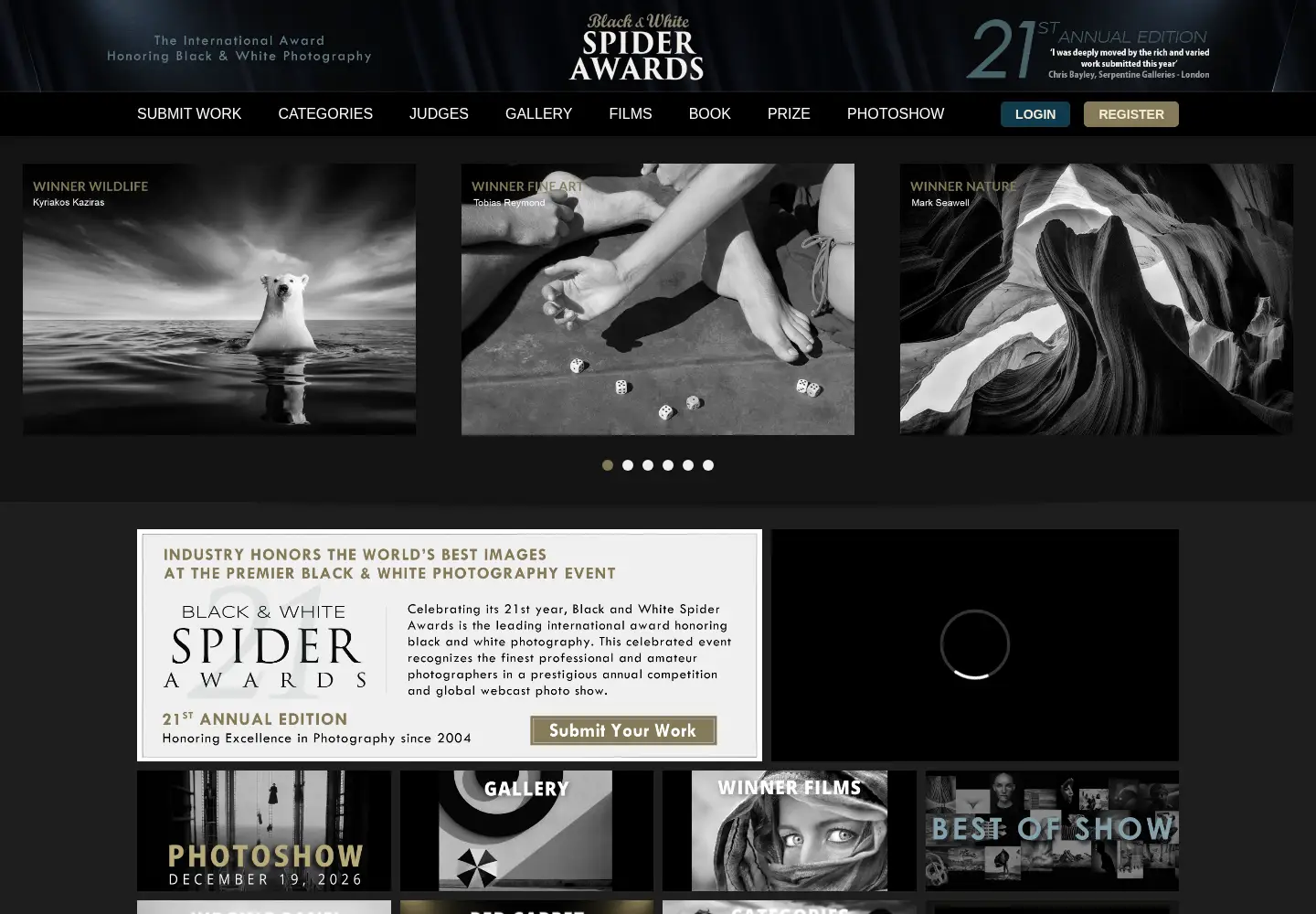 Screenshot of thespiderawards.com