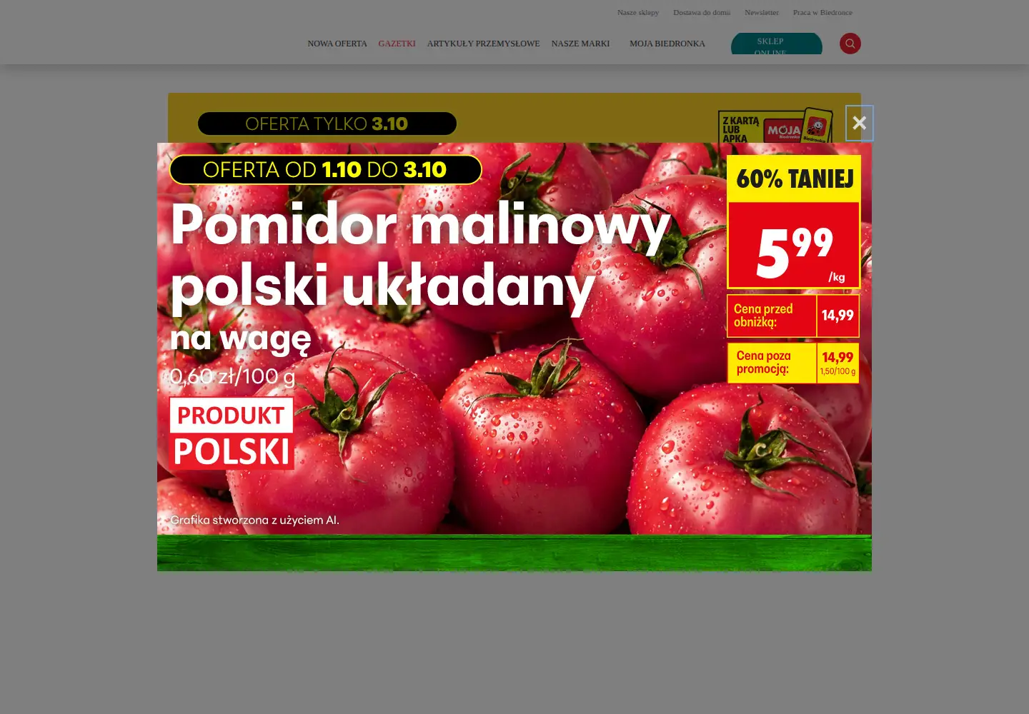 Captured homepage of biedronka.pl in the current scan