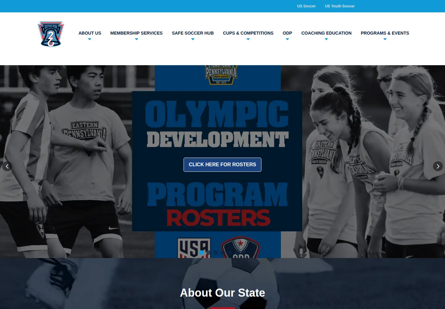 Screenshot of epysa.org