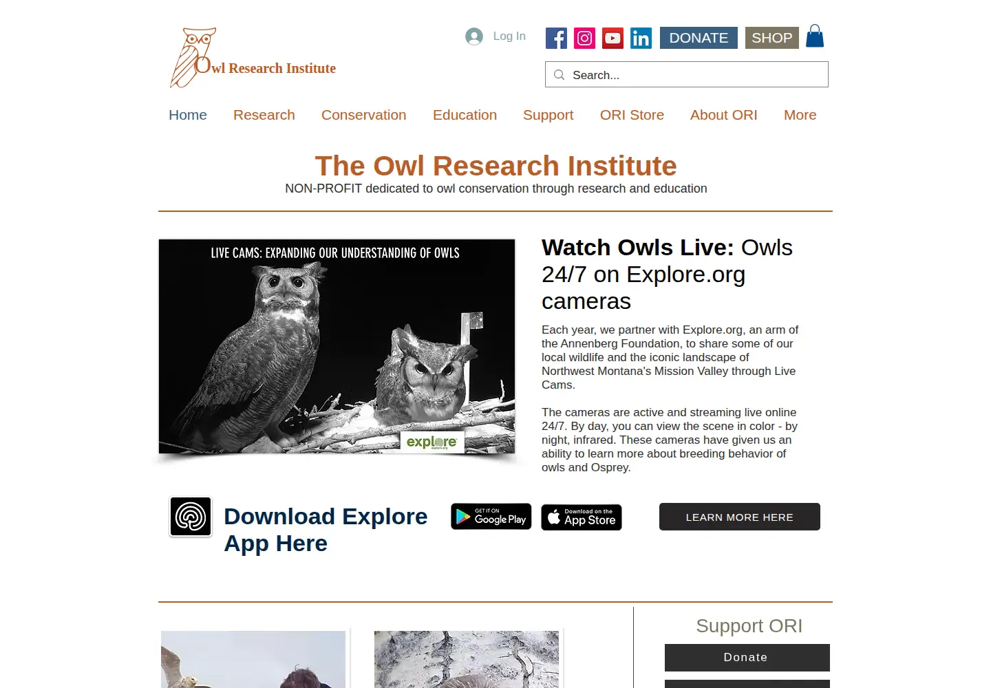 Screenshot of owlresearchinstitute.org