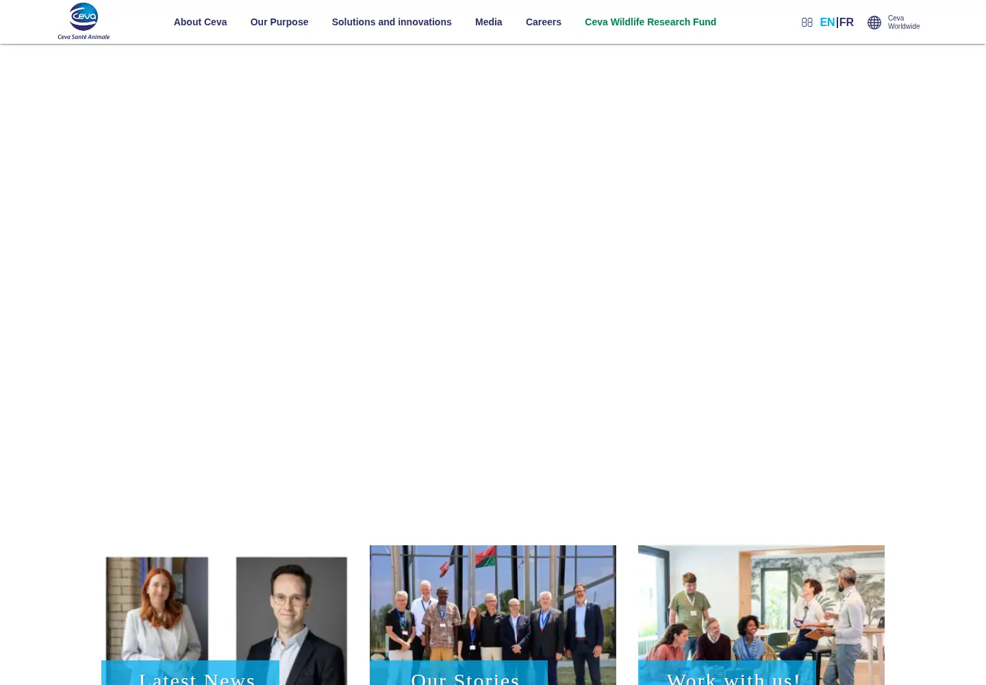 Screenshot of ceva.com