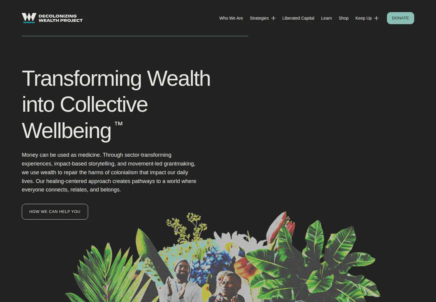 Screenshot of decolonizingwealth.com