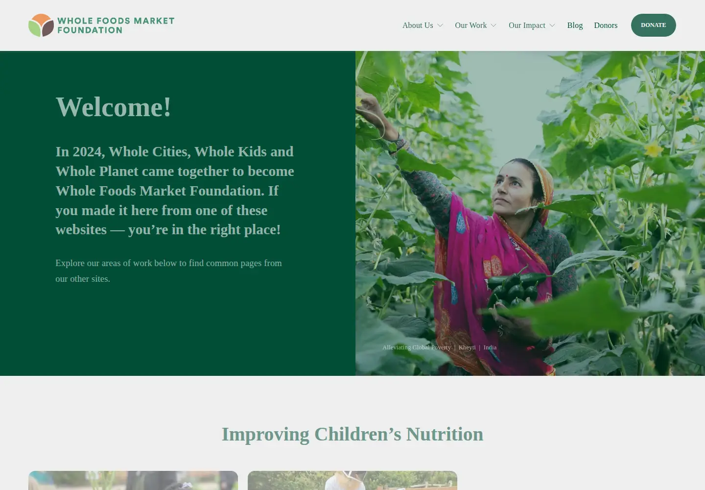 Captured homepage of wholekidsfoundation.org in the current scan