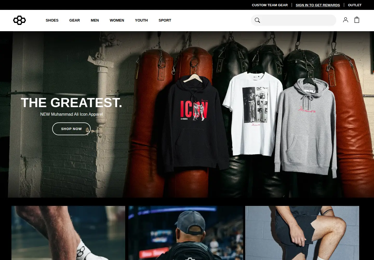 Captured homepage of rudis.com in the current scan