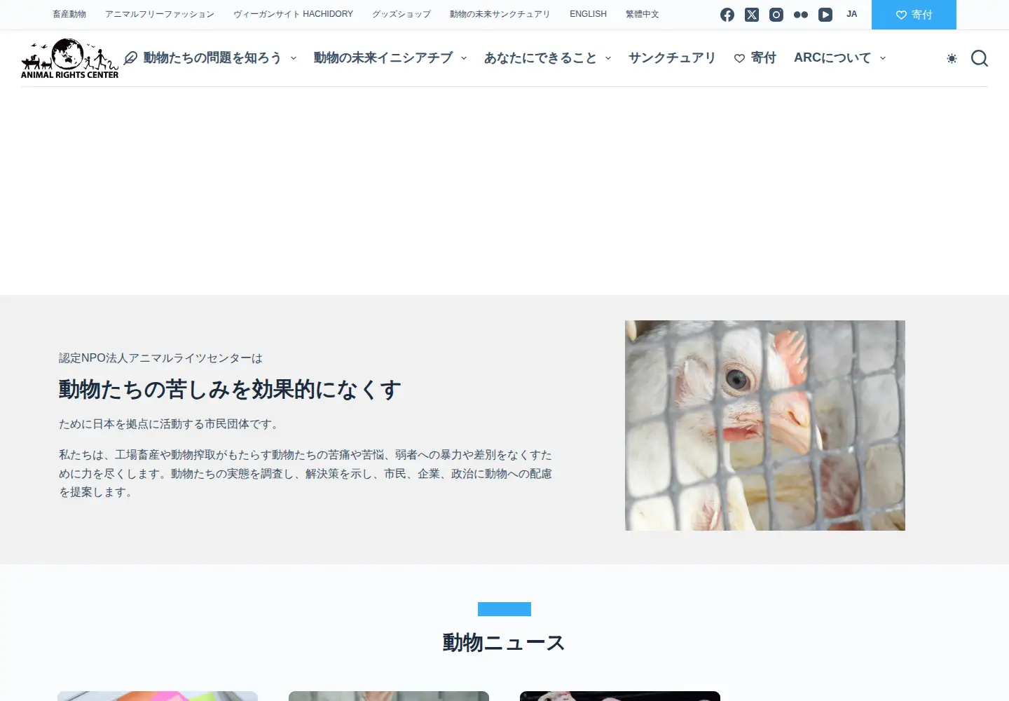 Screenshot of arcj.org