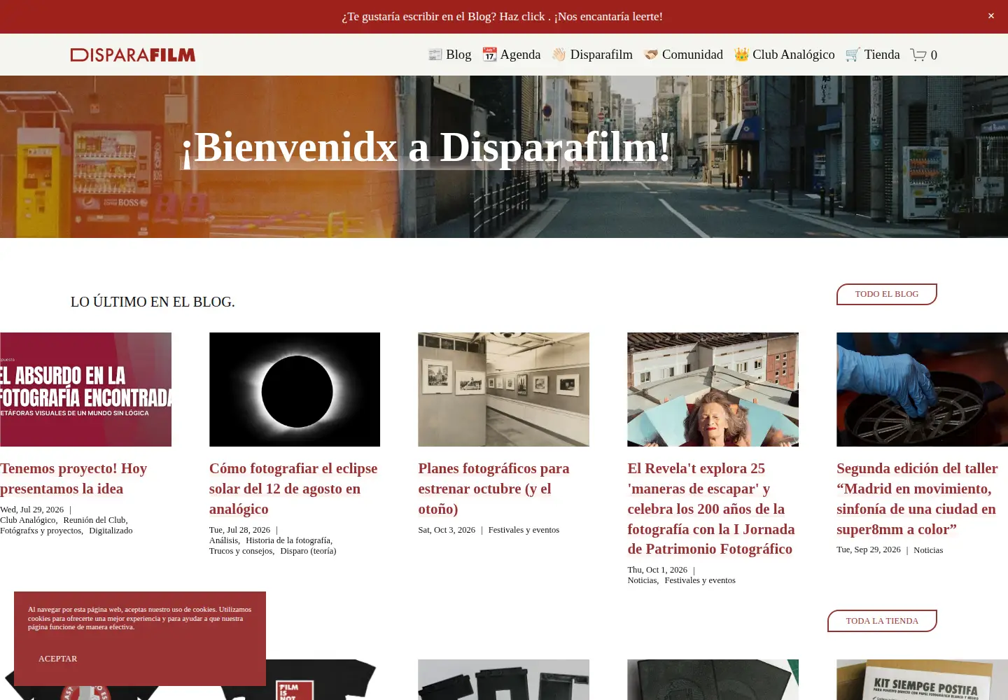 Screenshot of disparafilm.com