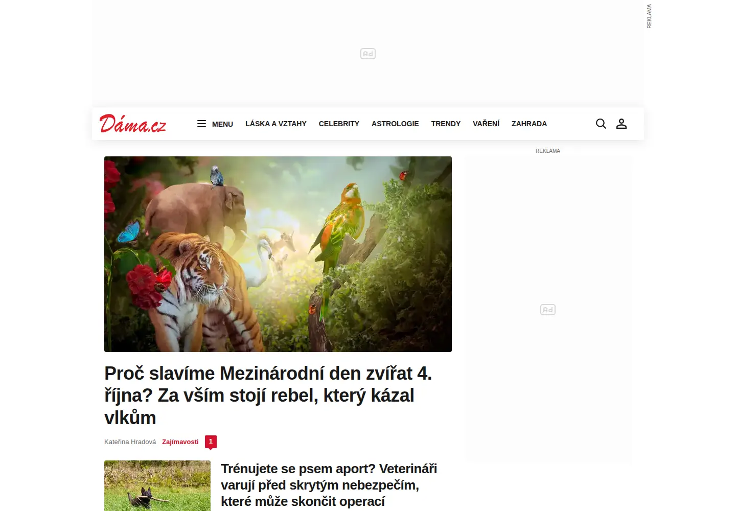 Screenshot of dama.cz