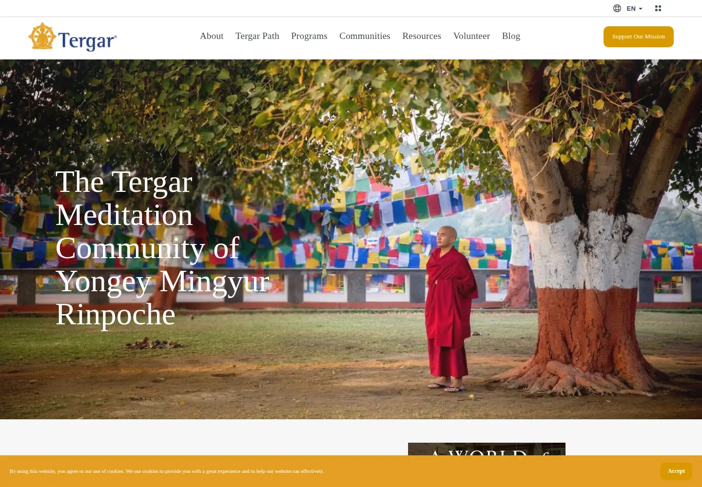 Screenshot of tergar.org