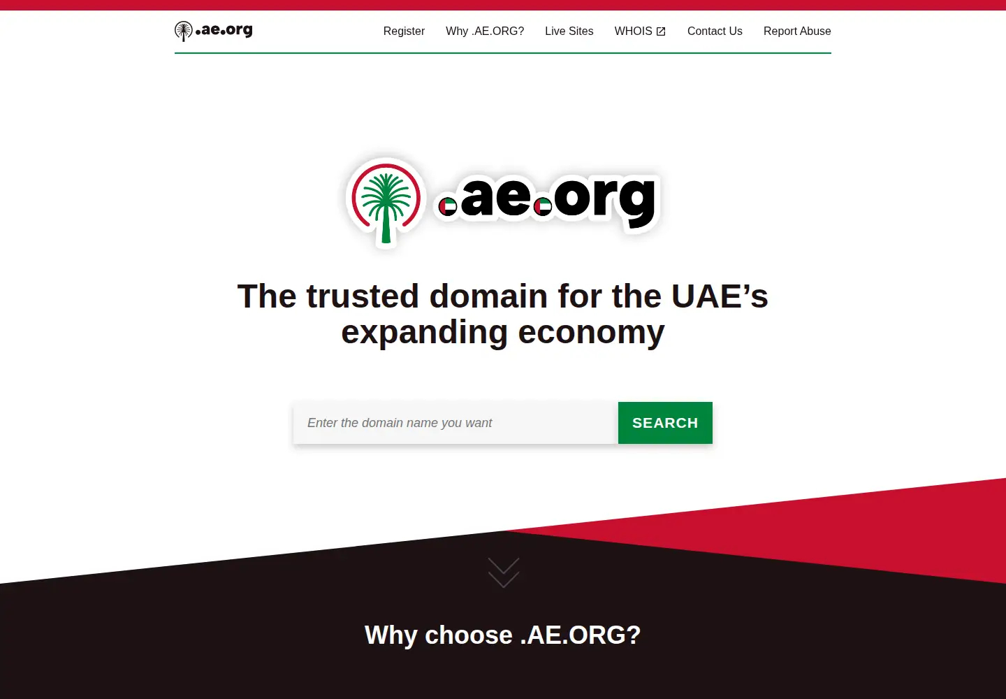 Screenshot of ae.org
