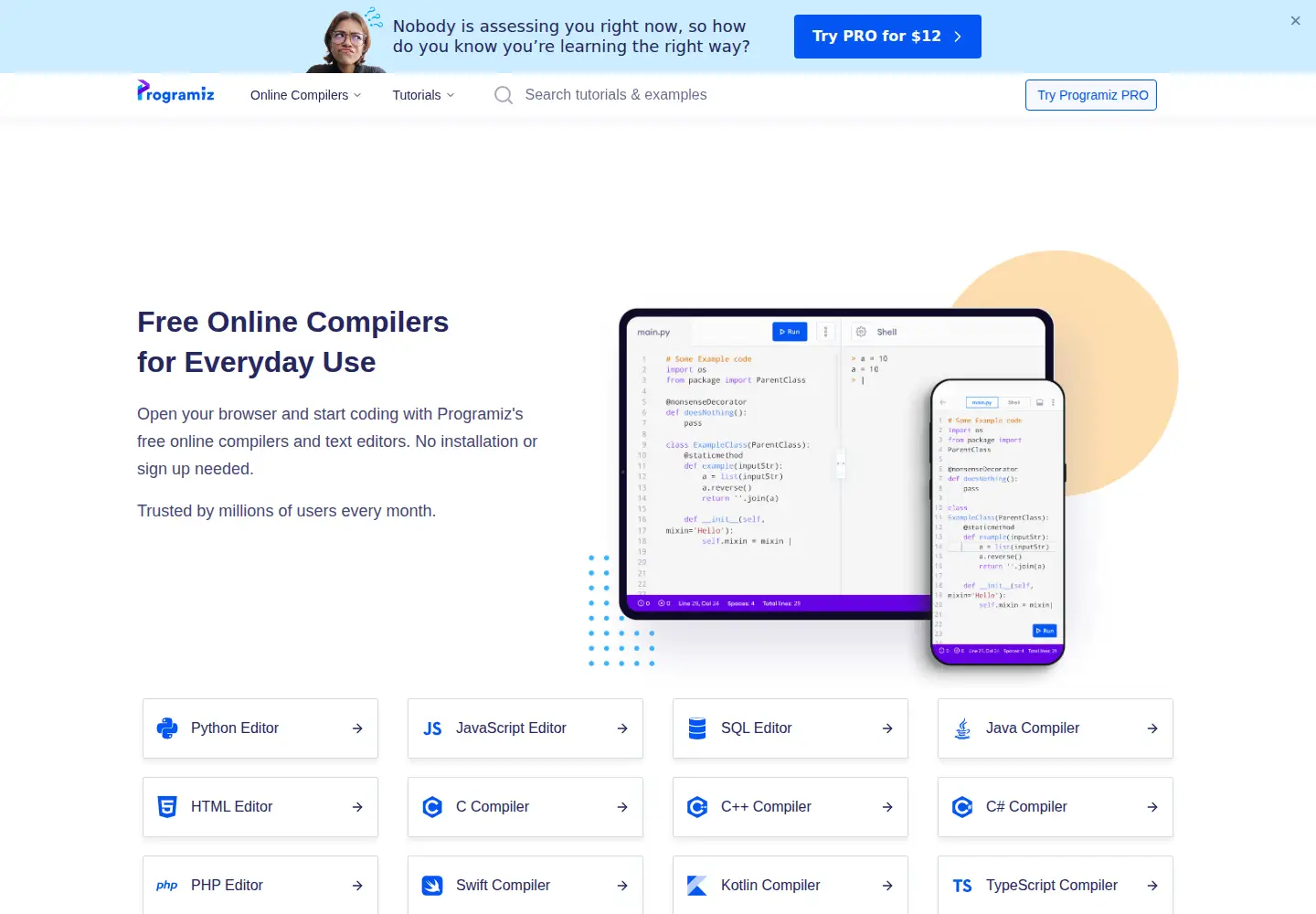 Screenshot of programiz.com