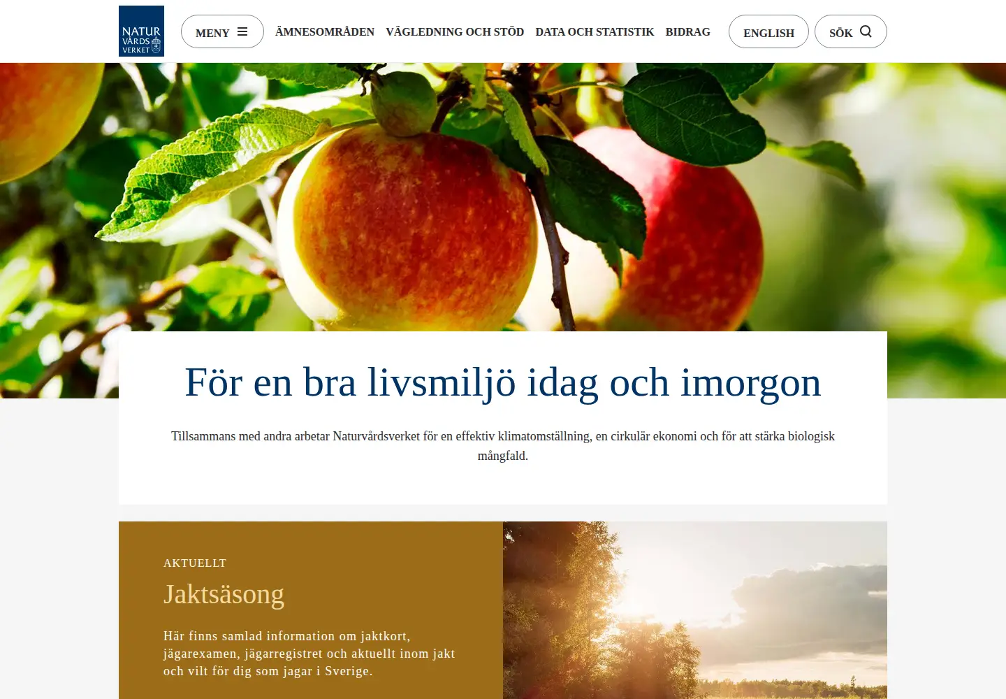 Screenshot of naturvardsverket.se