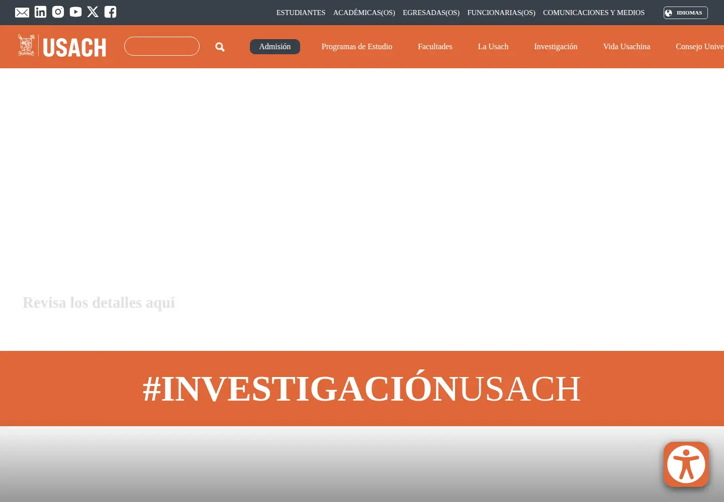 Screenshot of usach.cl