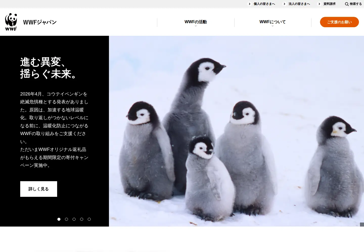 Screenshot of wwf.or.jp