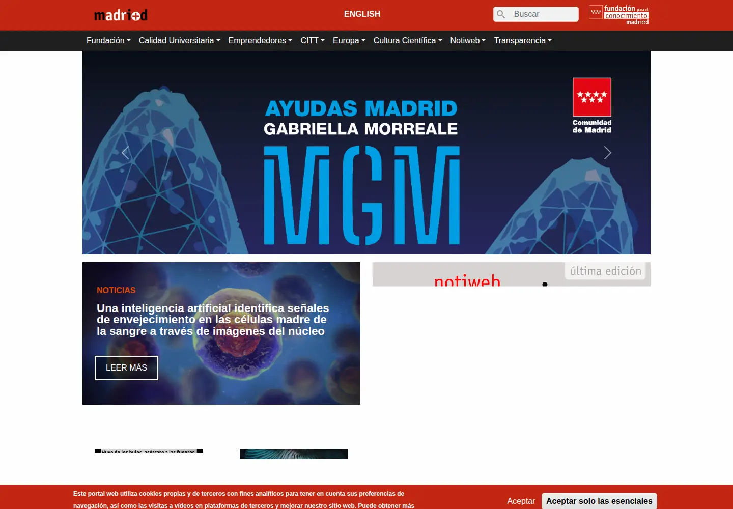 Screenshot of madrimasd.org