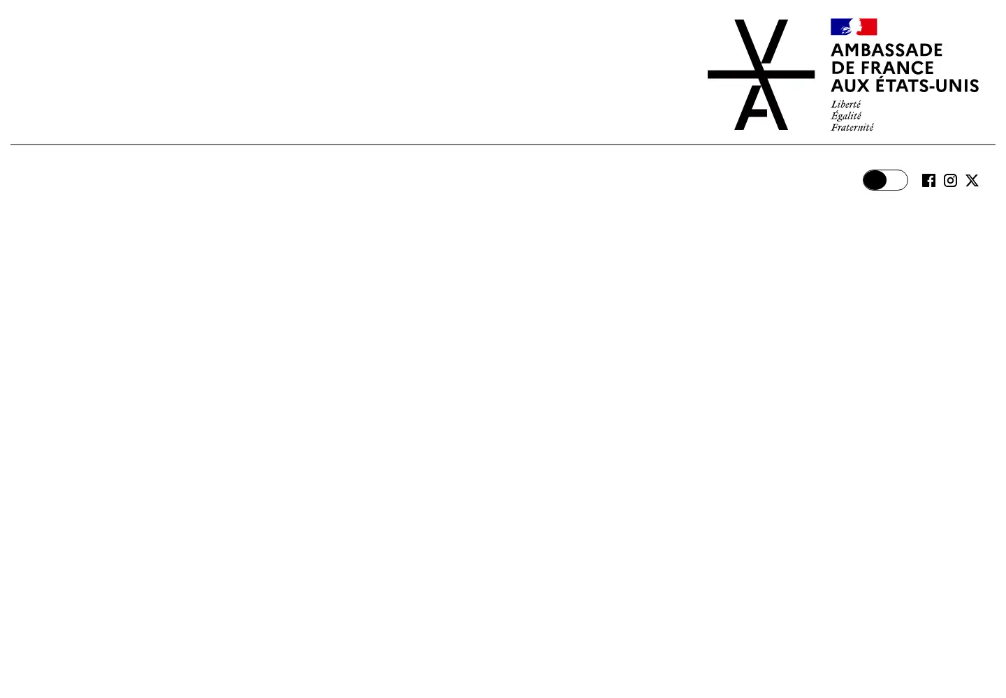 Screenshot of villa-albertine.org