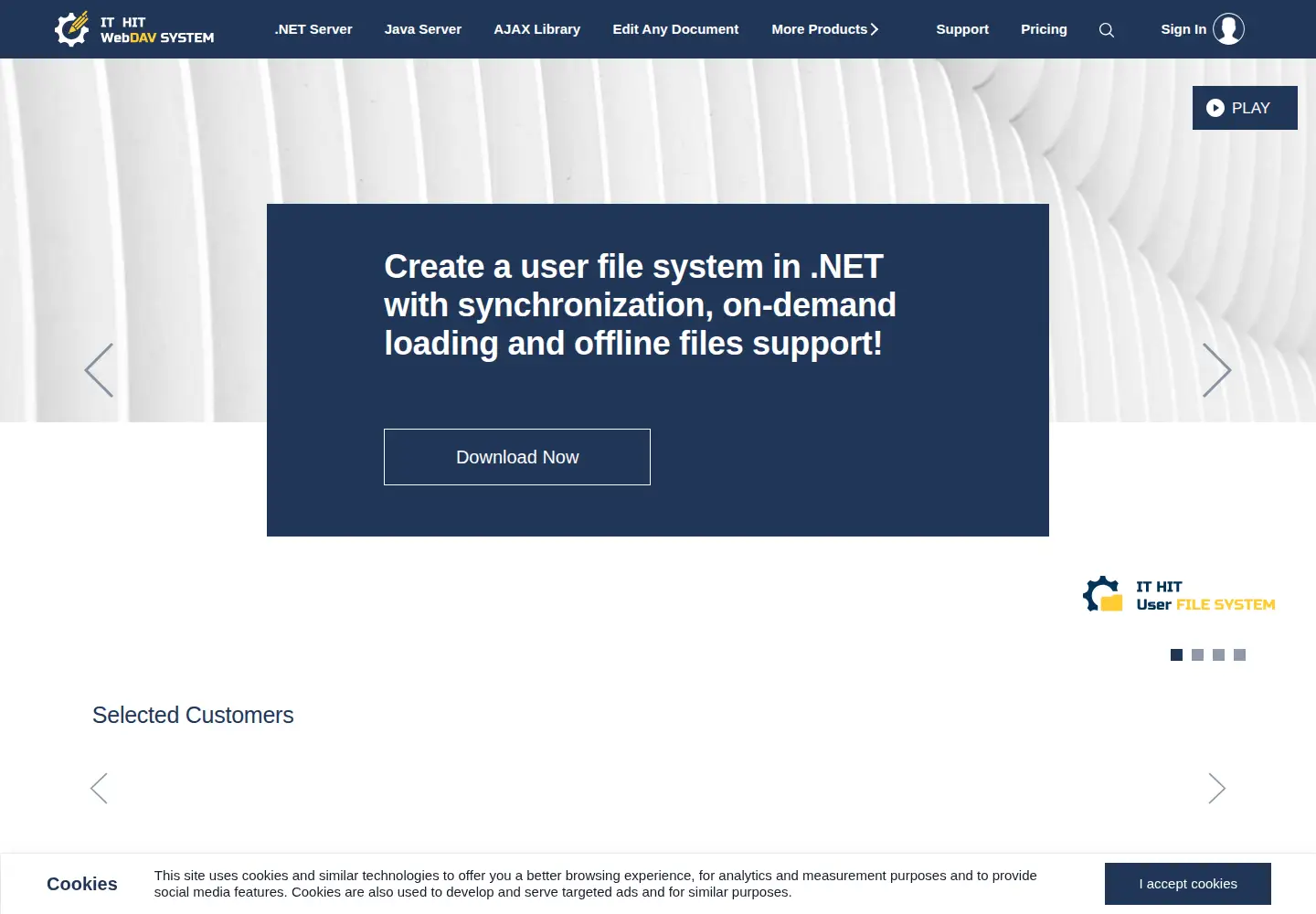 Screenshot of webdavsystem.com