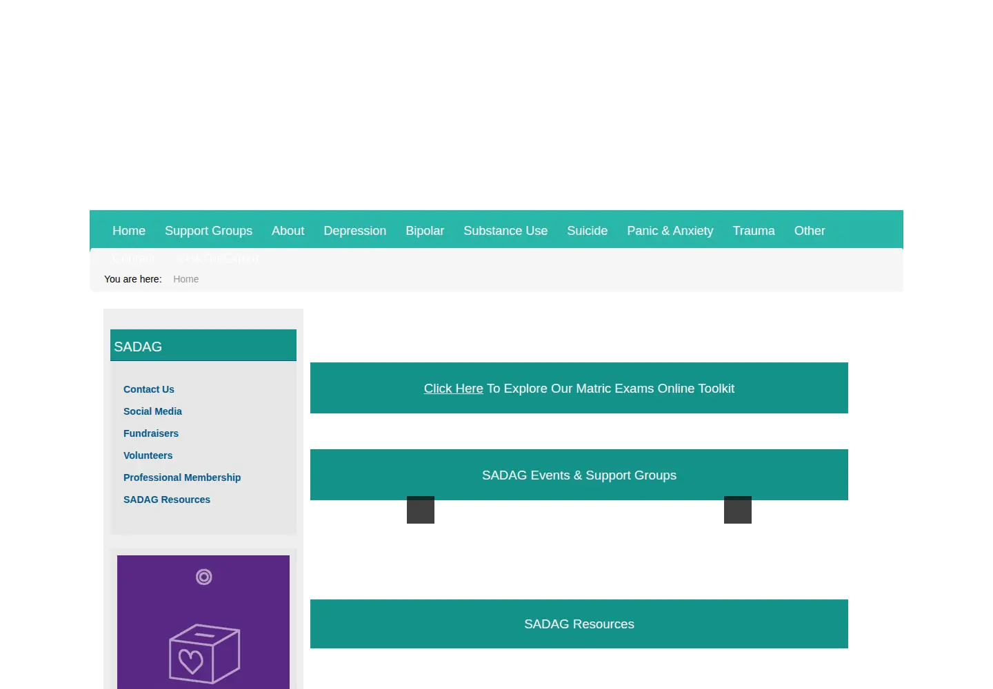 Screenshot of sadag.org