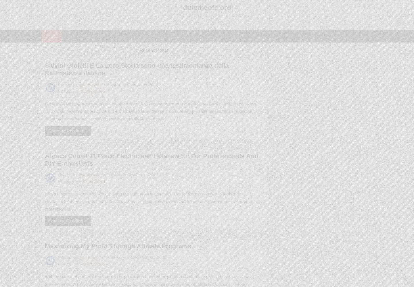 Screenshot of duluthcofc.org