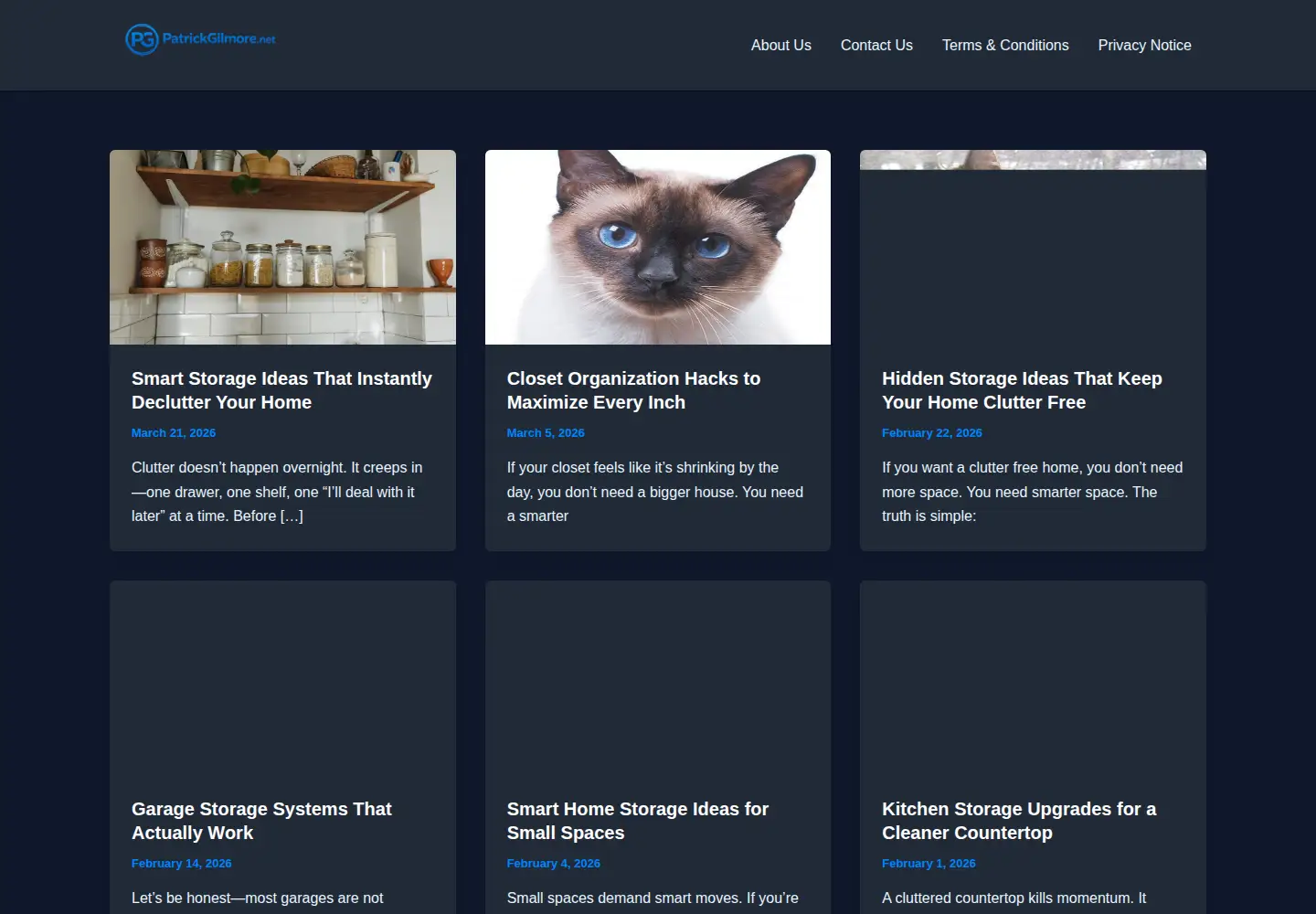 Screenshot of patrickgilmore.net
