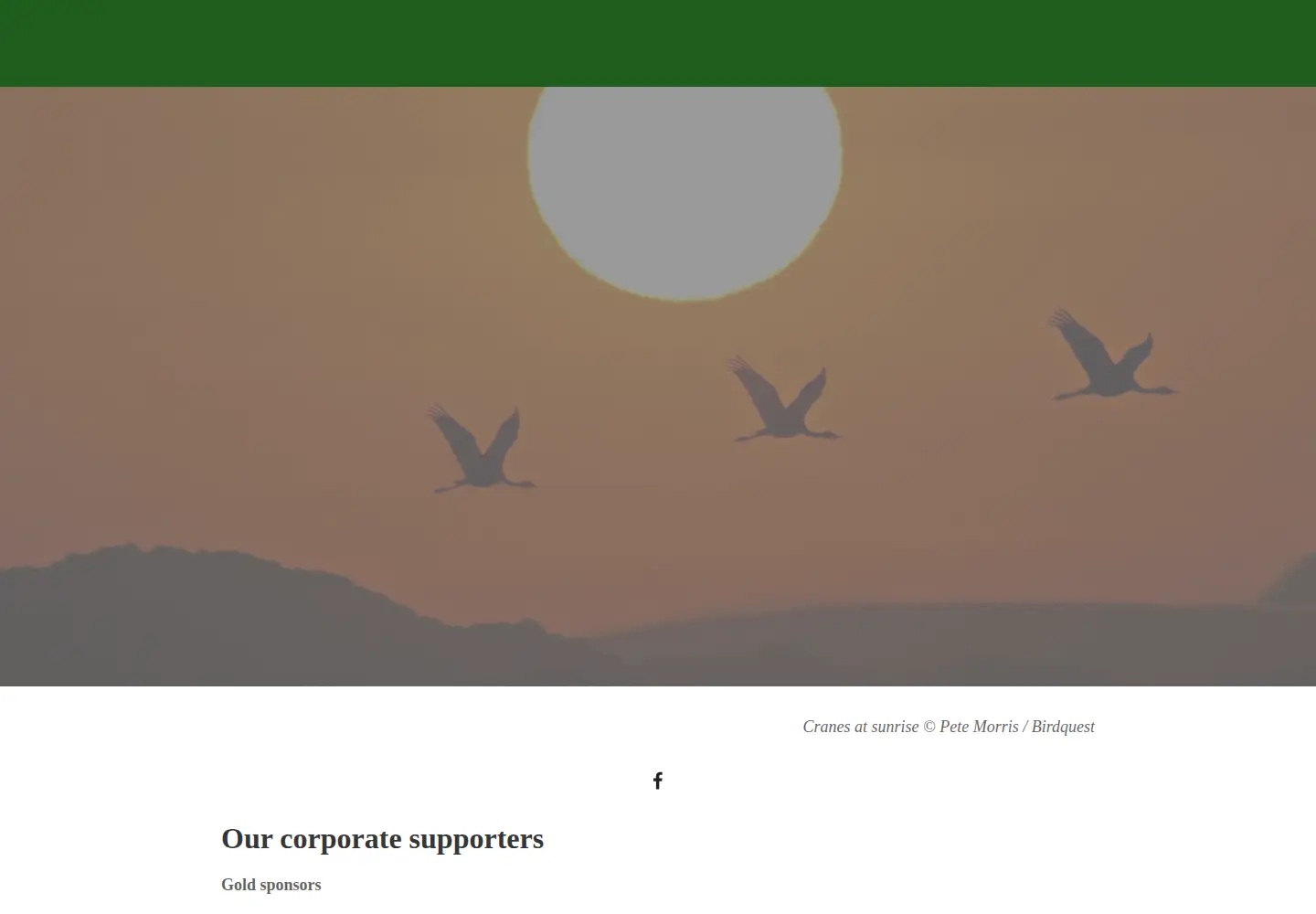 Screenshot of orientalbirdclub.org
