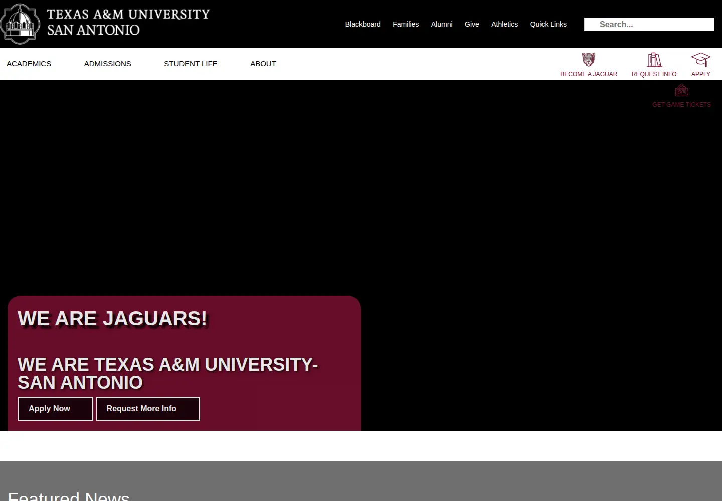 Screenshot of tamusa.edu