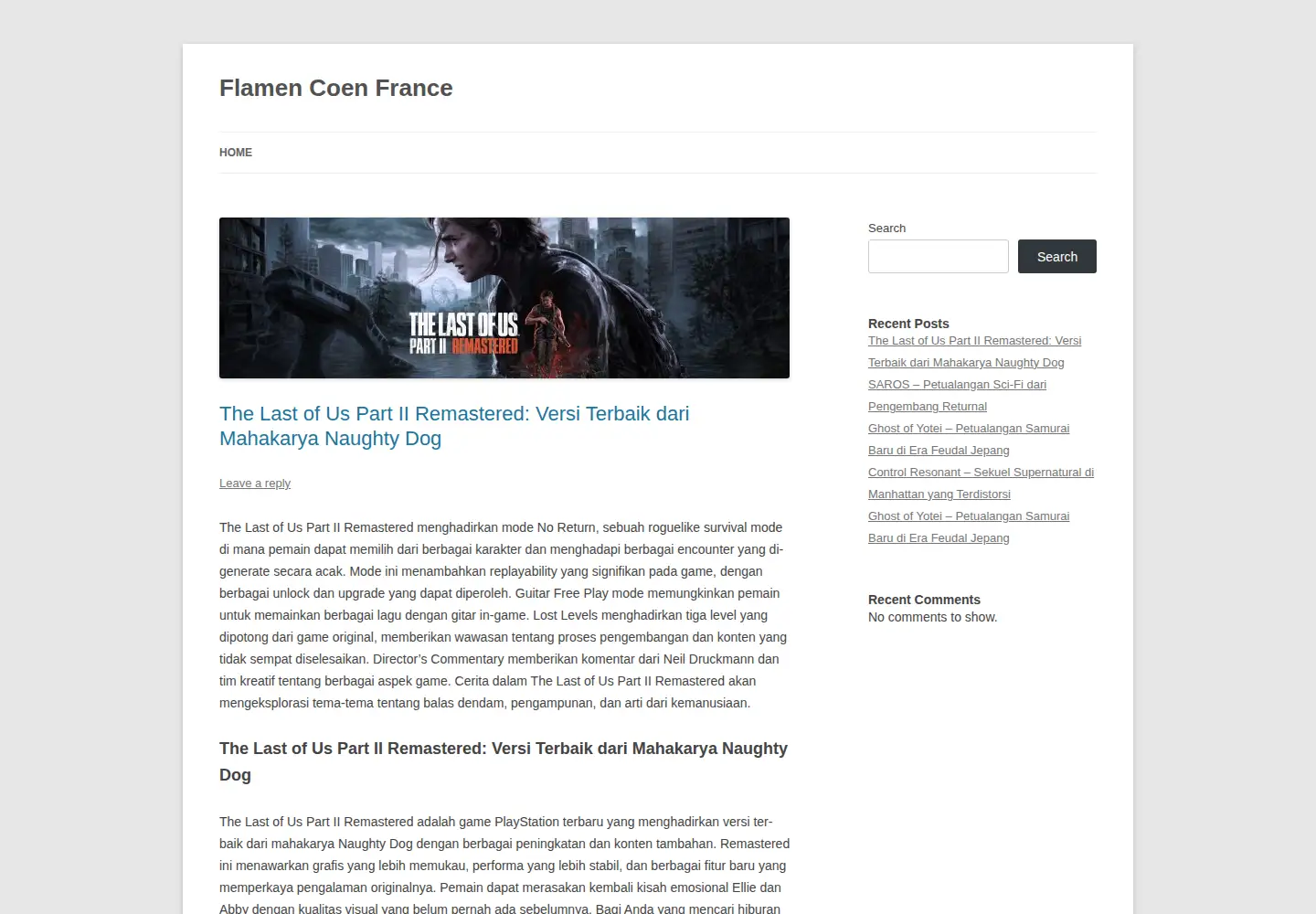 Screenshot of flamencoenfrance.org