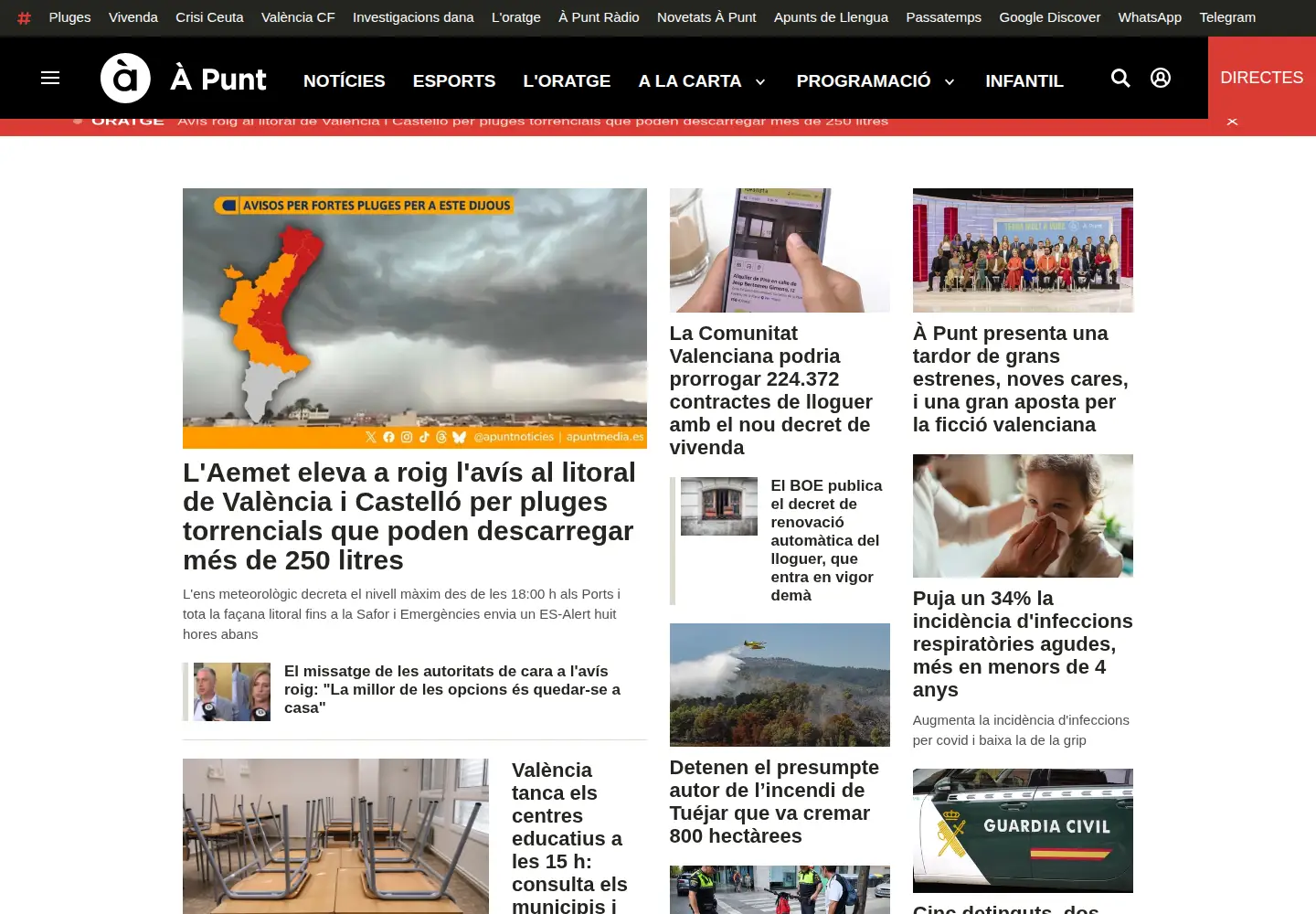 Screenshot of apuntmedia.es