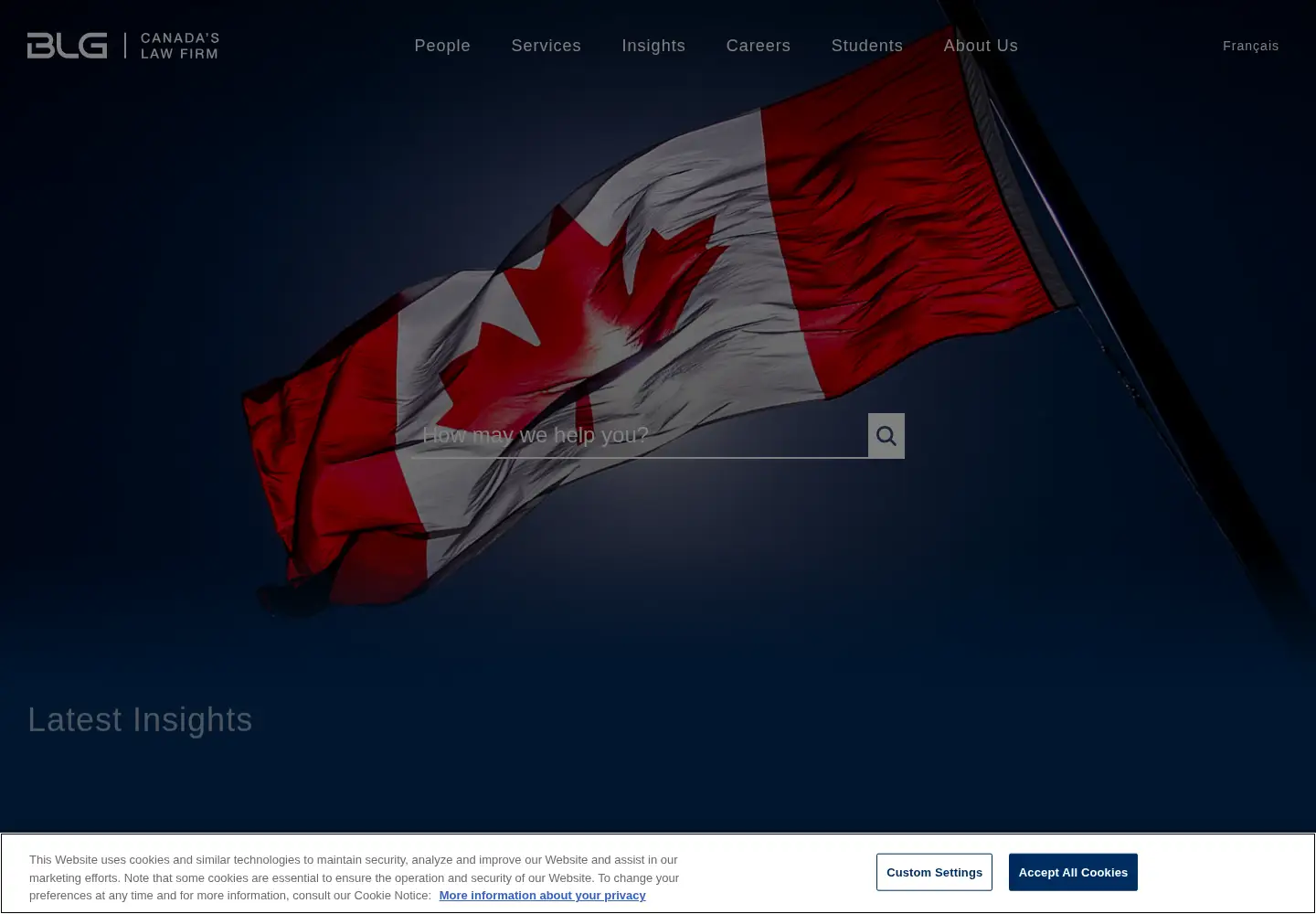 Screenshot of blg.com
