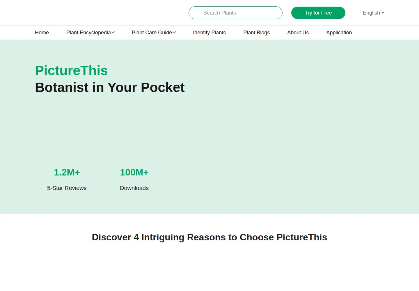 Screenshot of picturethisai.com