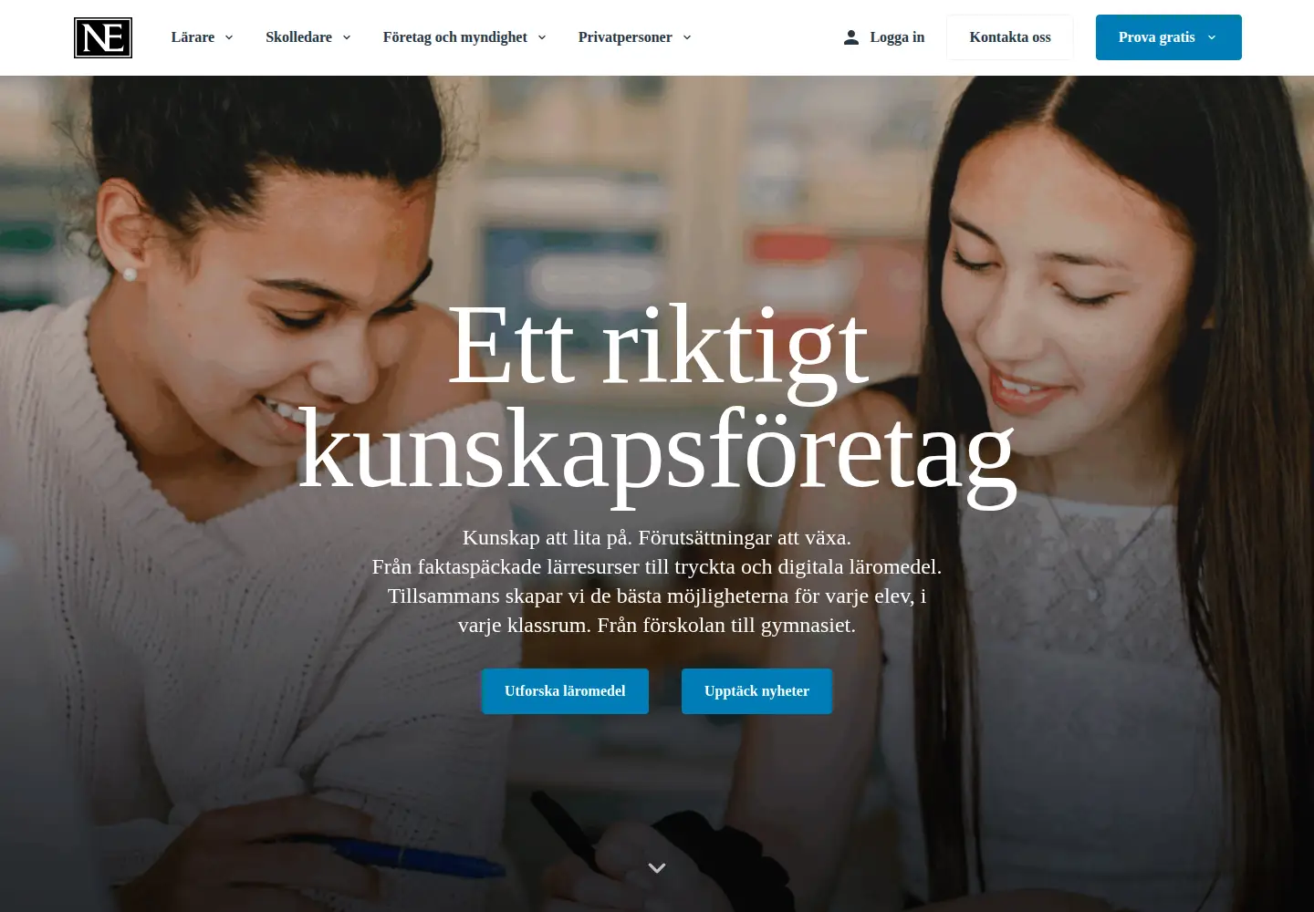 Screenshot of ne.se