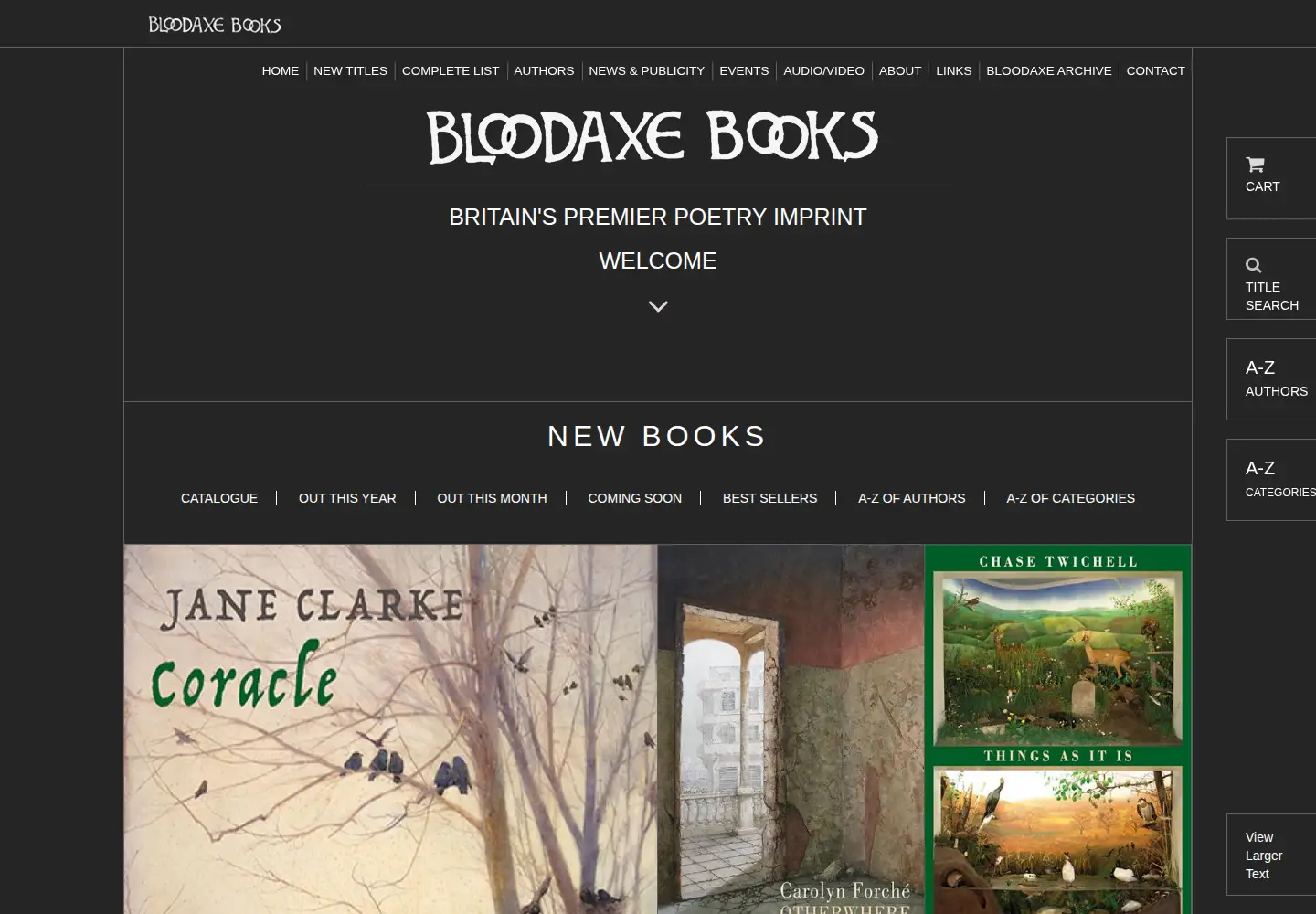Screenshot of bloodaxebooks.com